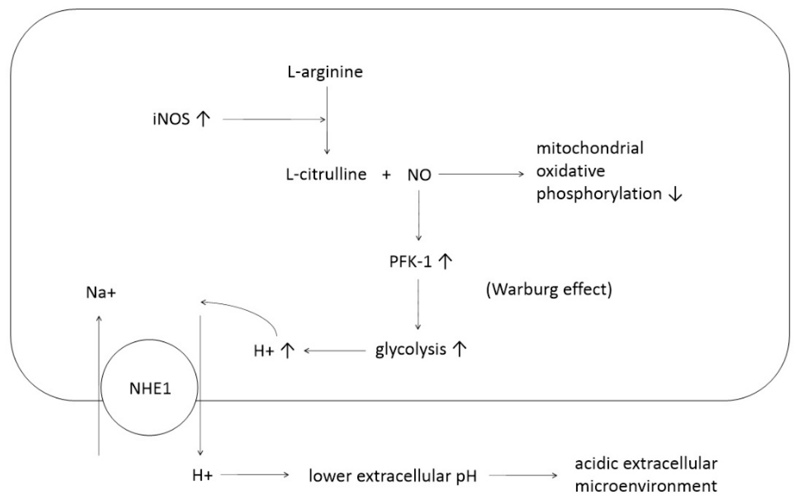 Antioxidants 14 00369 g002
