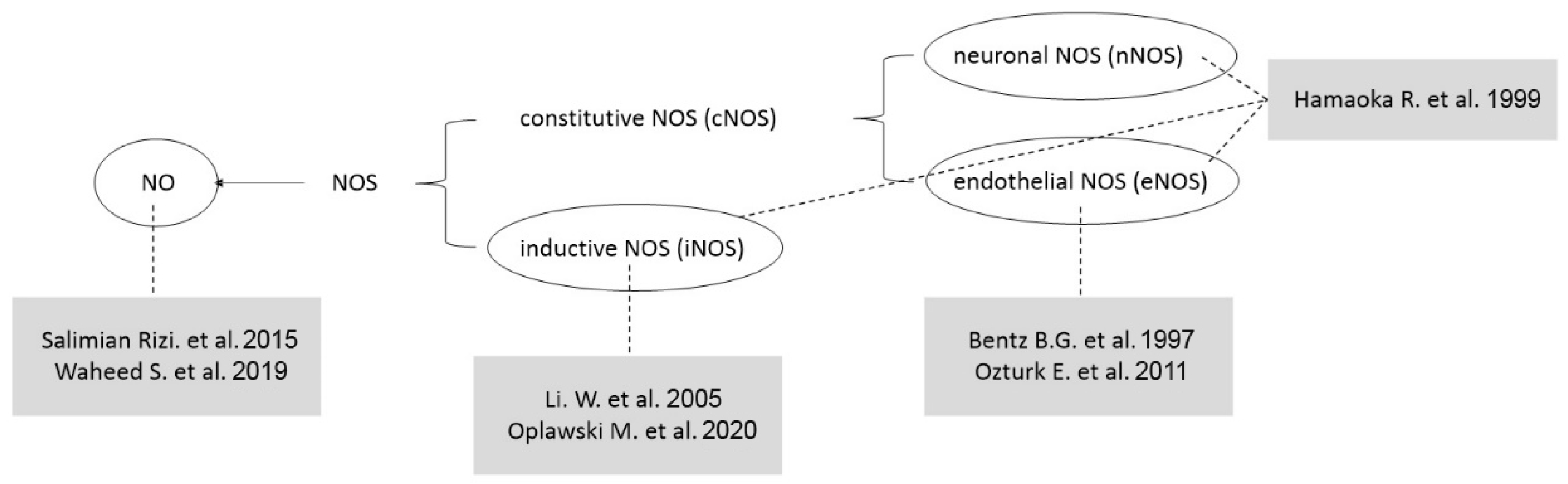 Antioxidants 14 00369 g003