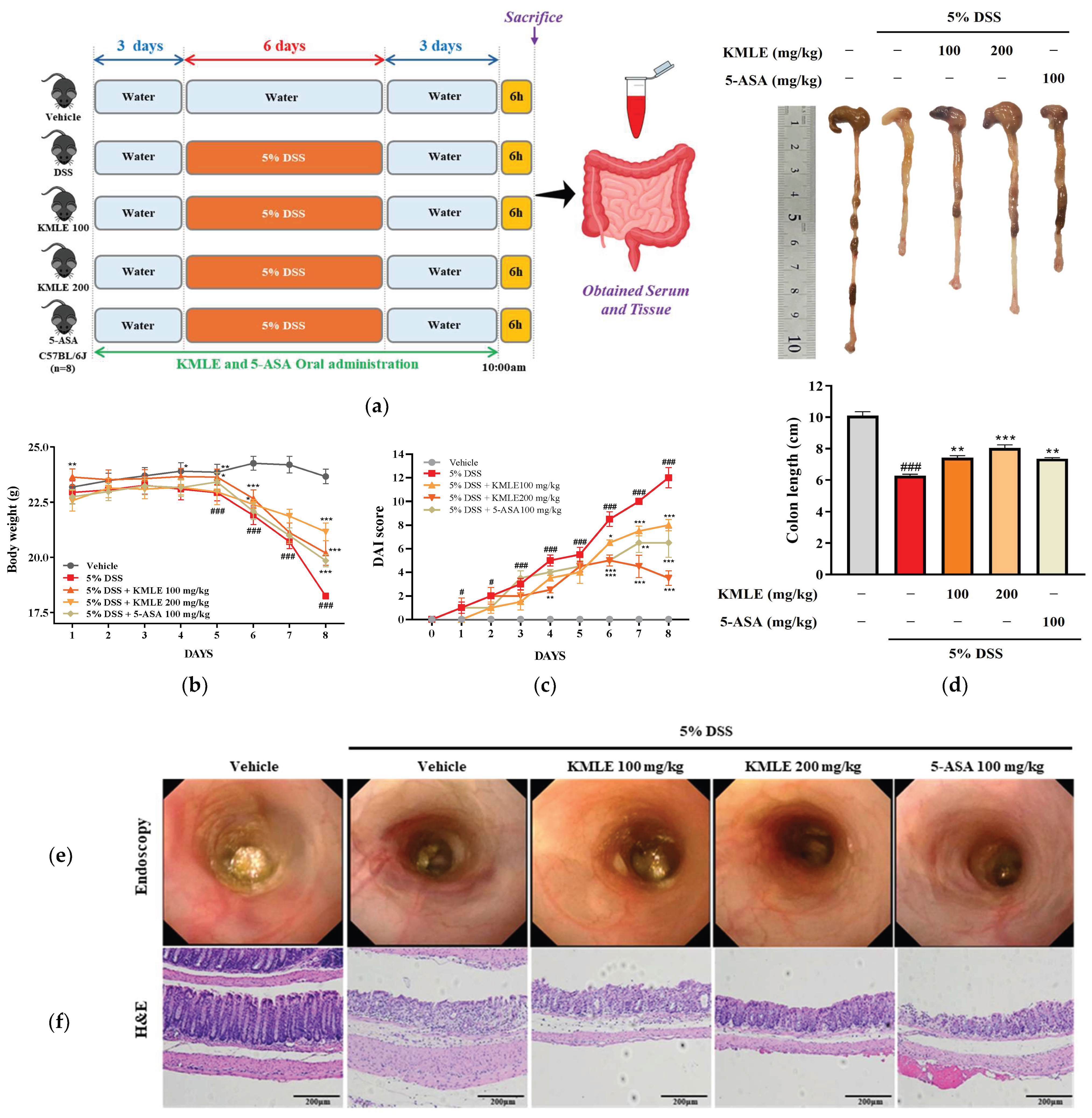 Antioxidants 14 00370 g004