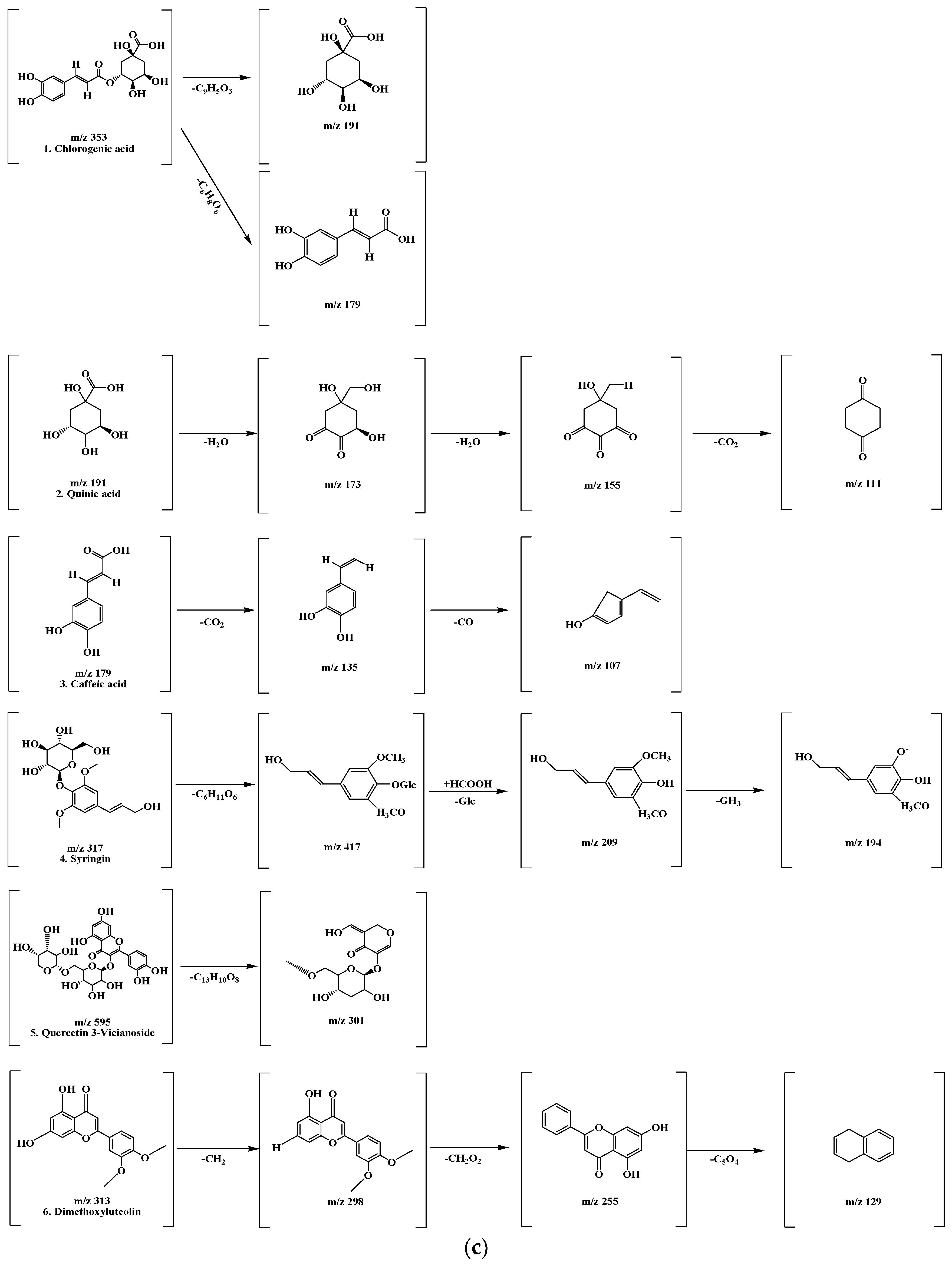 Antioxidants 14 00370 g006b