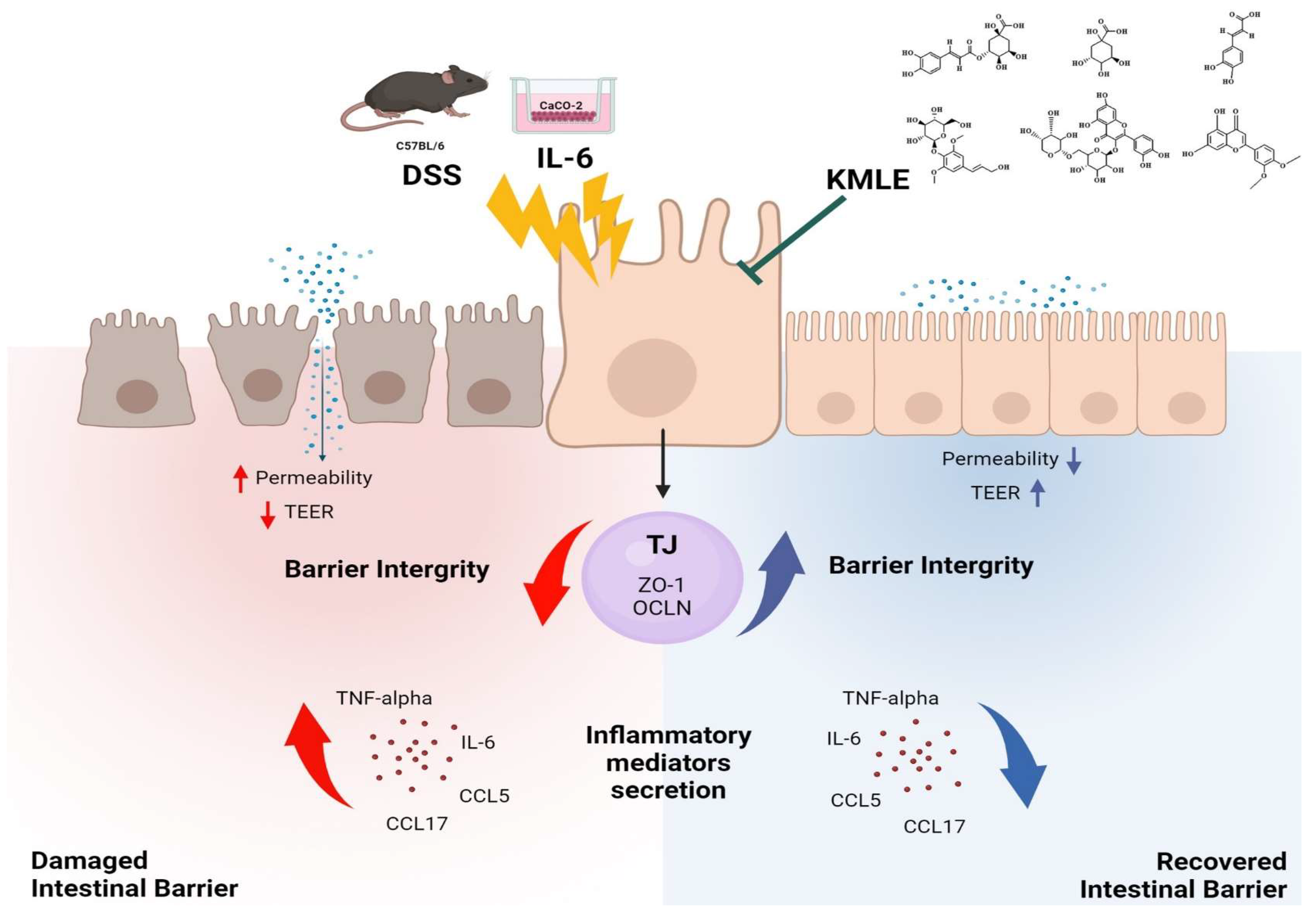 Antioxidants 14 00370 g008