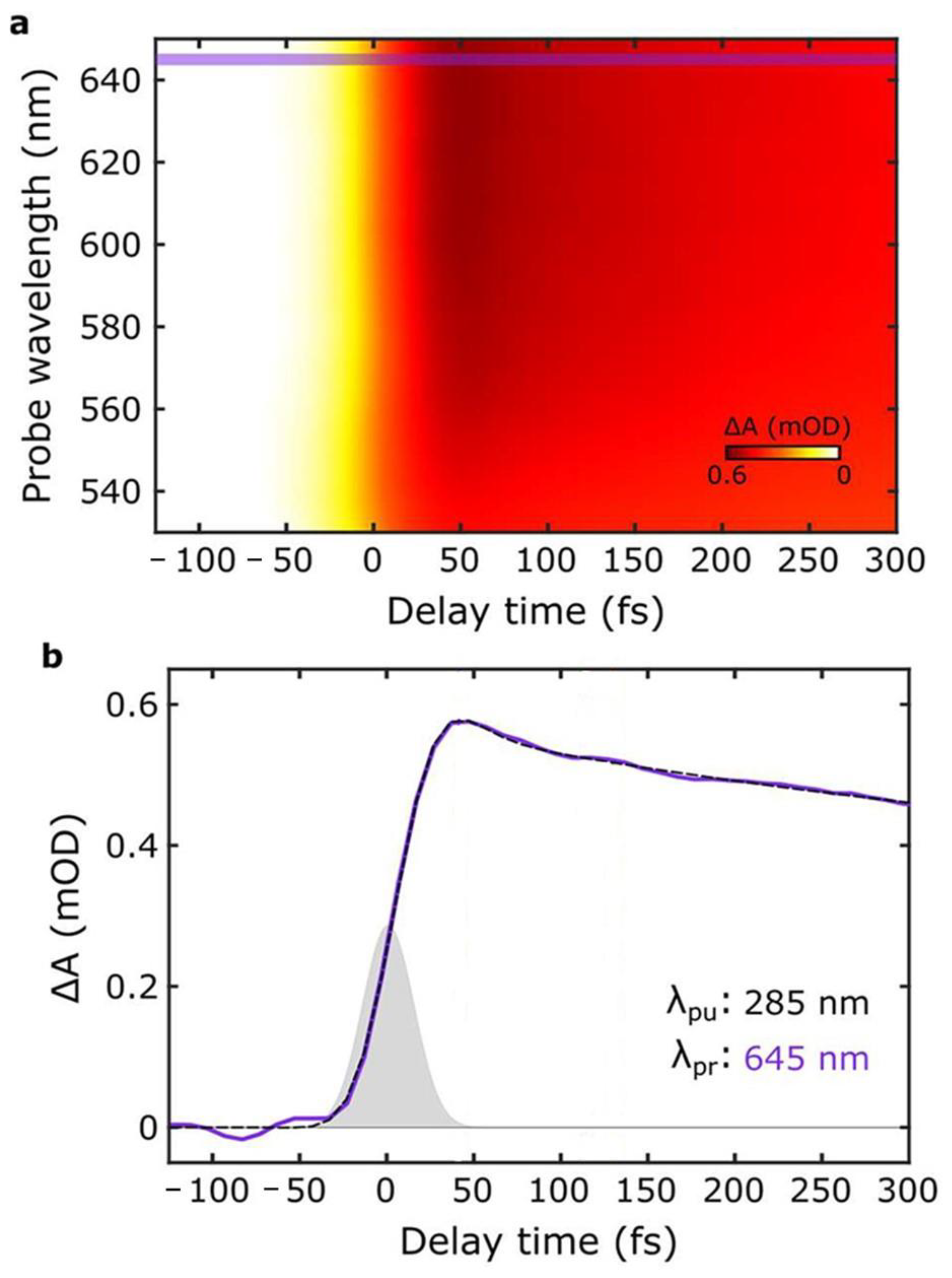 Antioxidants 14 00376 g006