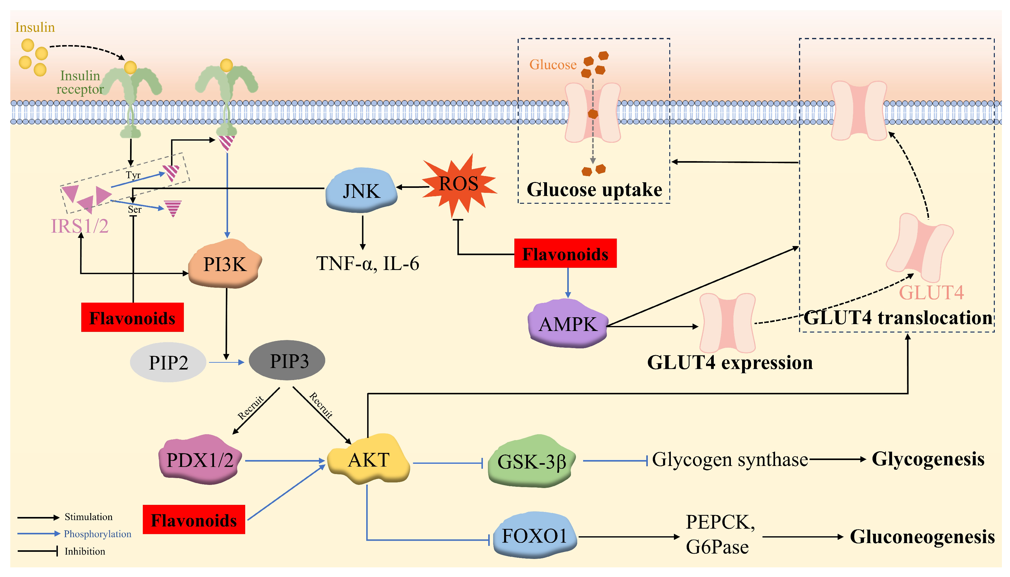 Antioxidants 14 00378 g003