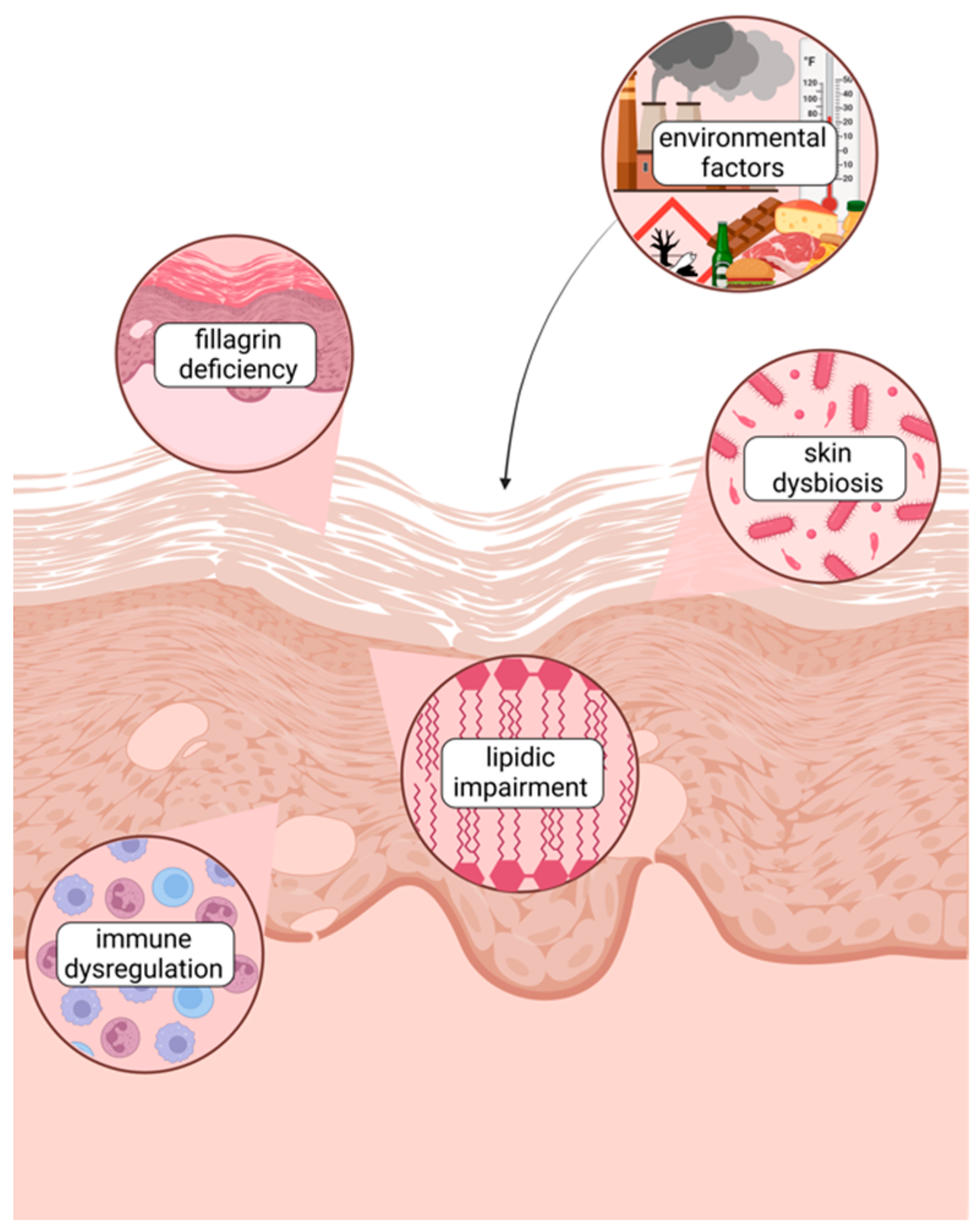Antioxidants 14 00386 g001