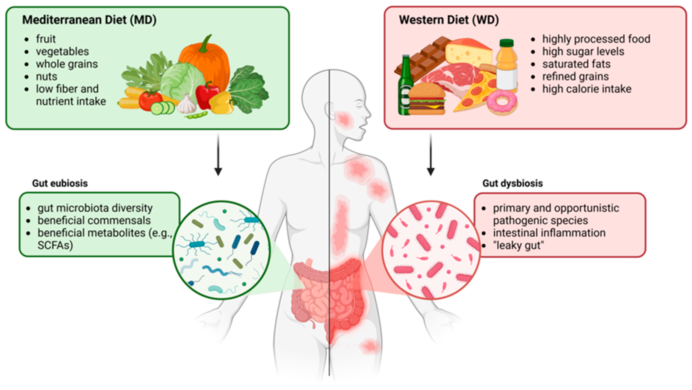 Antioxidants 14 00386 g002