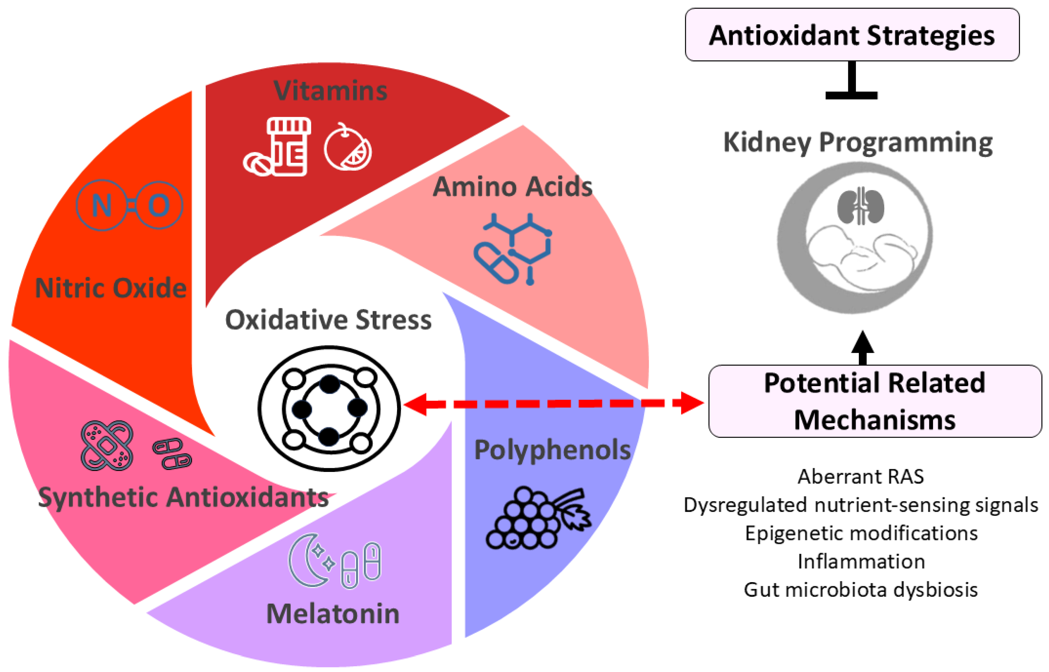 Antioxidants 14 00387 g002