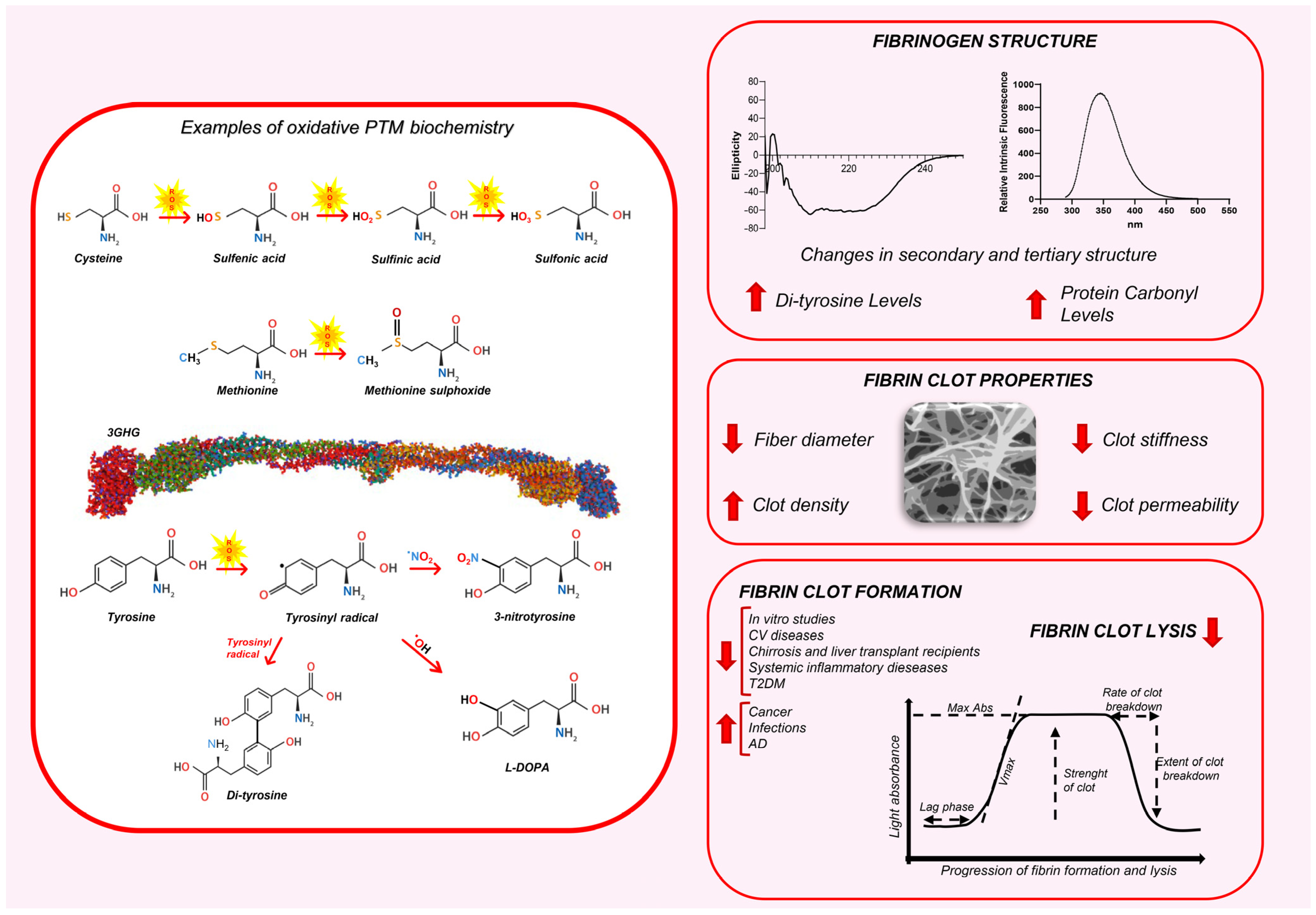 Antioxidants 14 00390 g001
