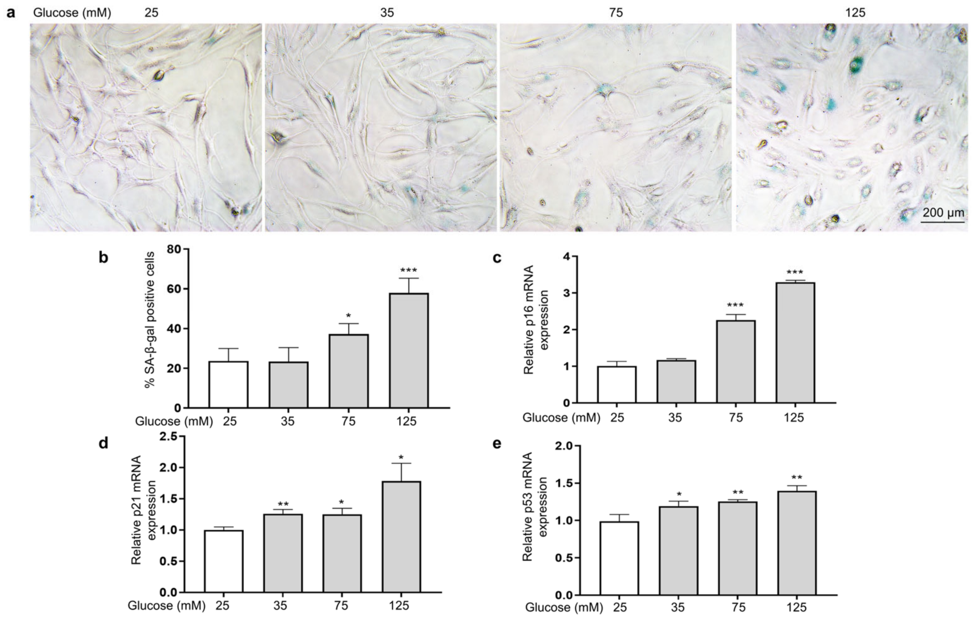 Antioxidants 14 00392 g003