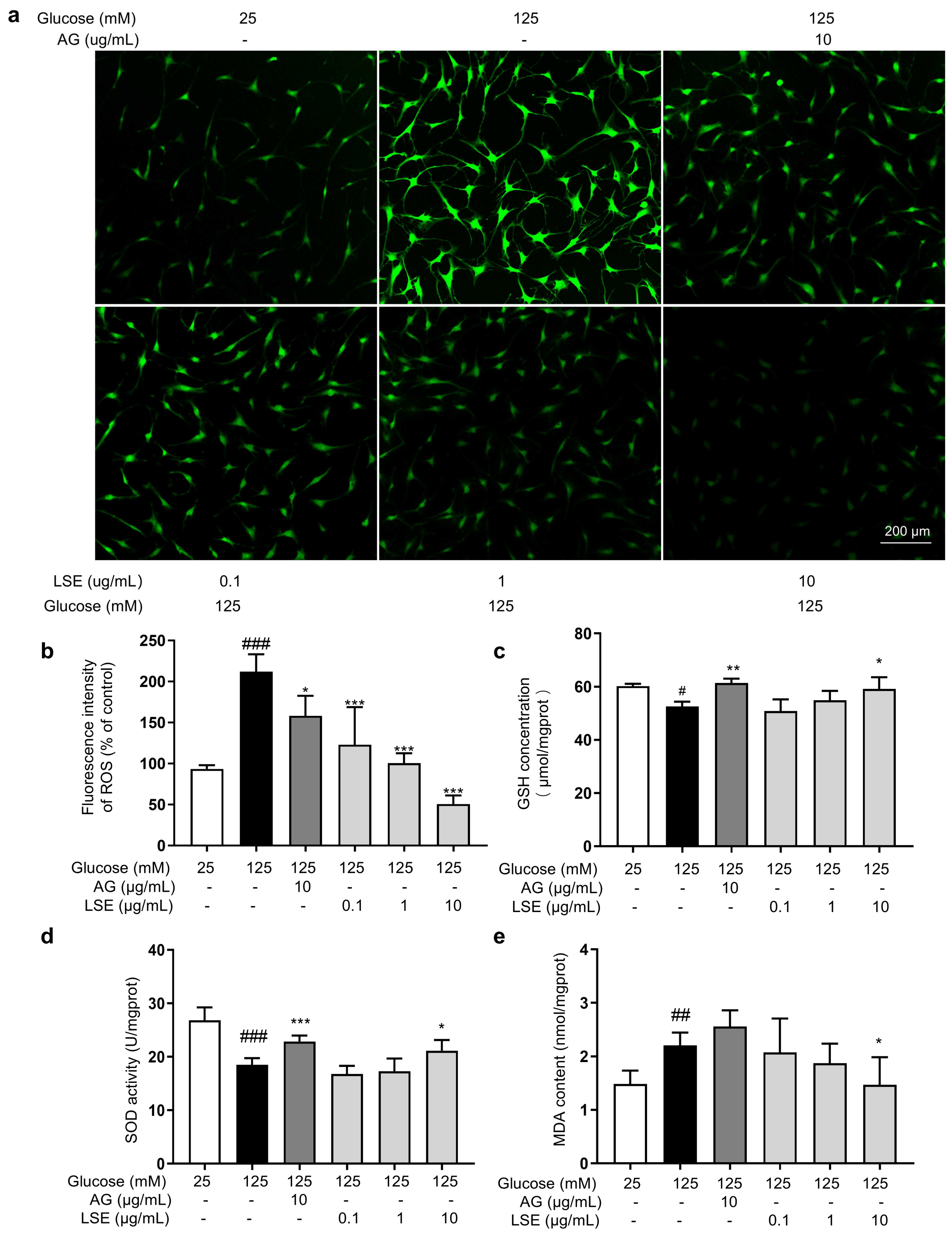 Antioxidants 14 00392 g009
