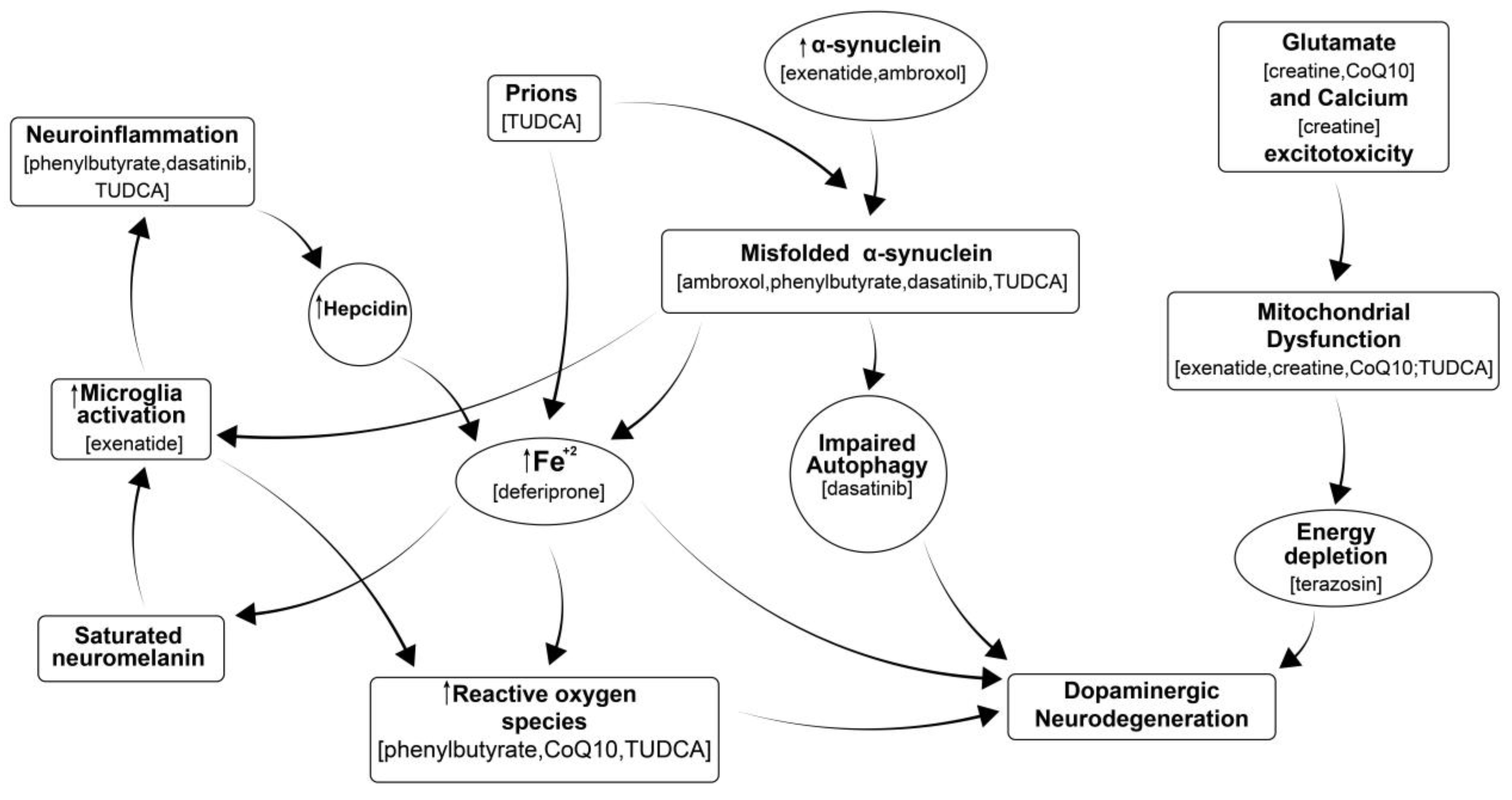 Antioxidants 14 00396 g001