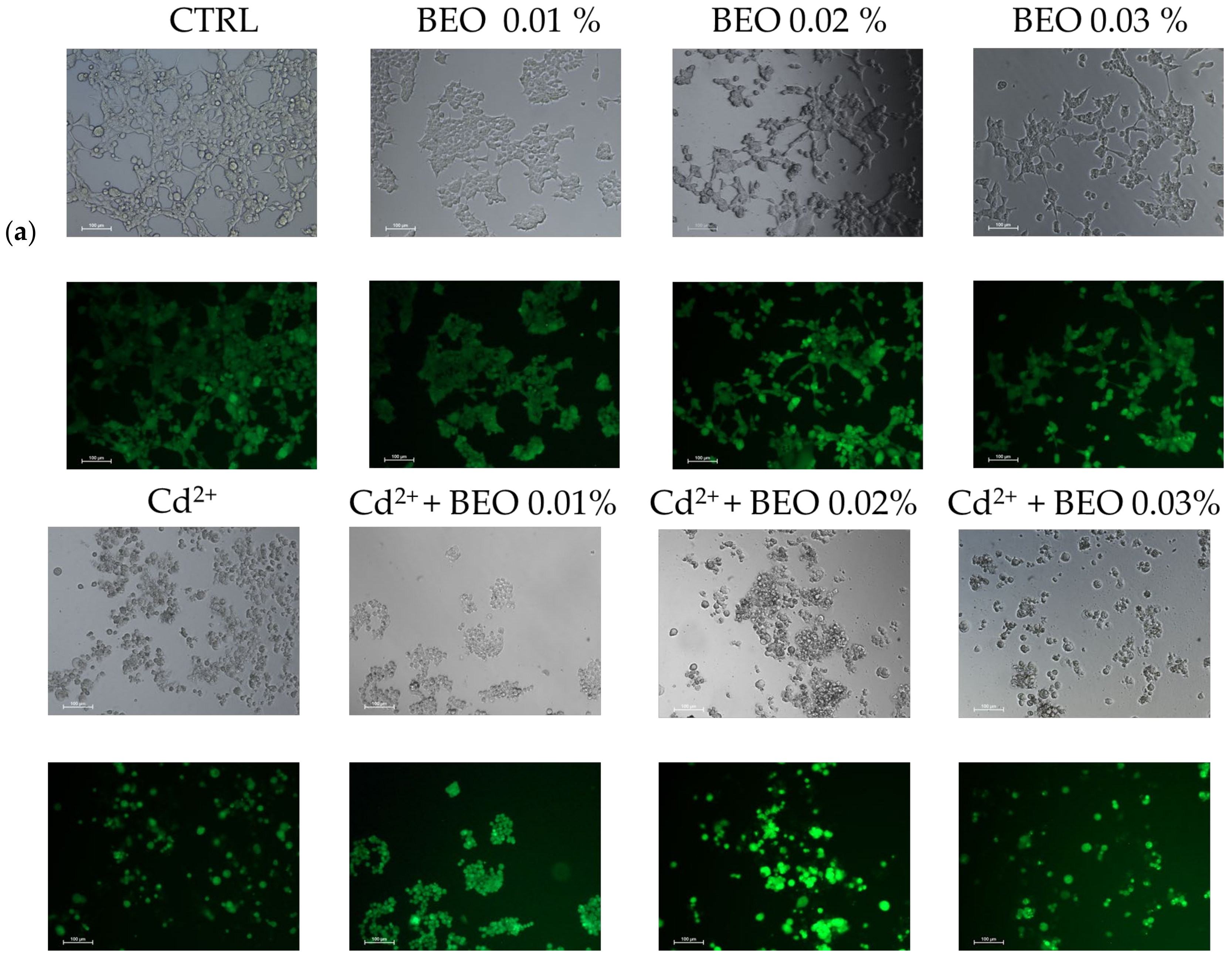 Antioxidants 14 00400 g004a