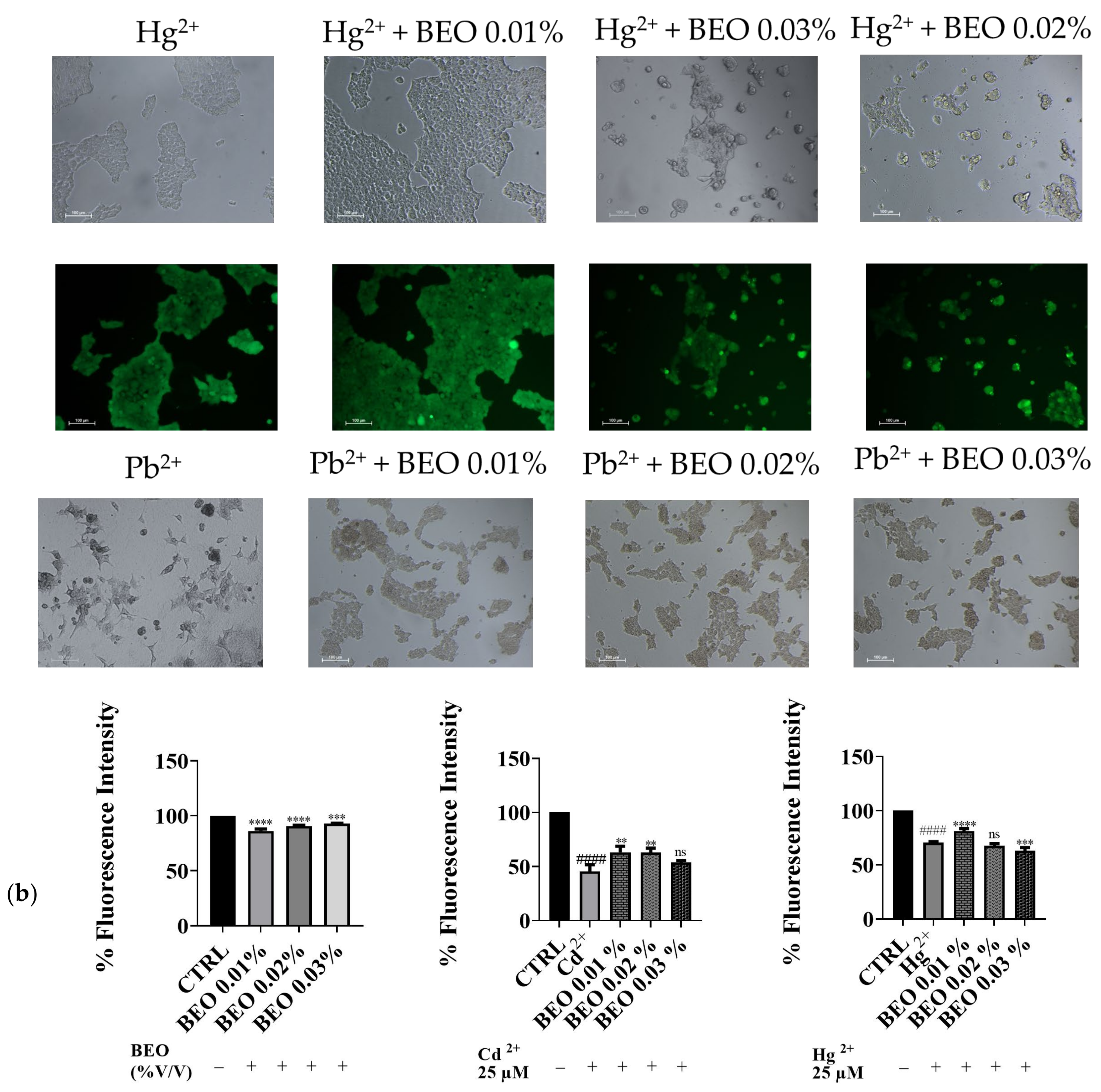 Antioxidants 14 00400 g004b