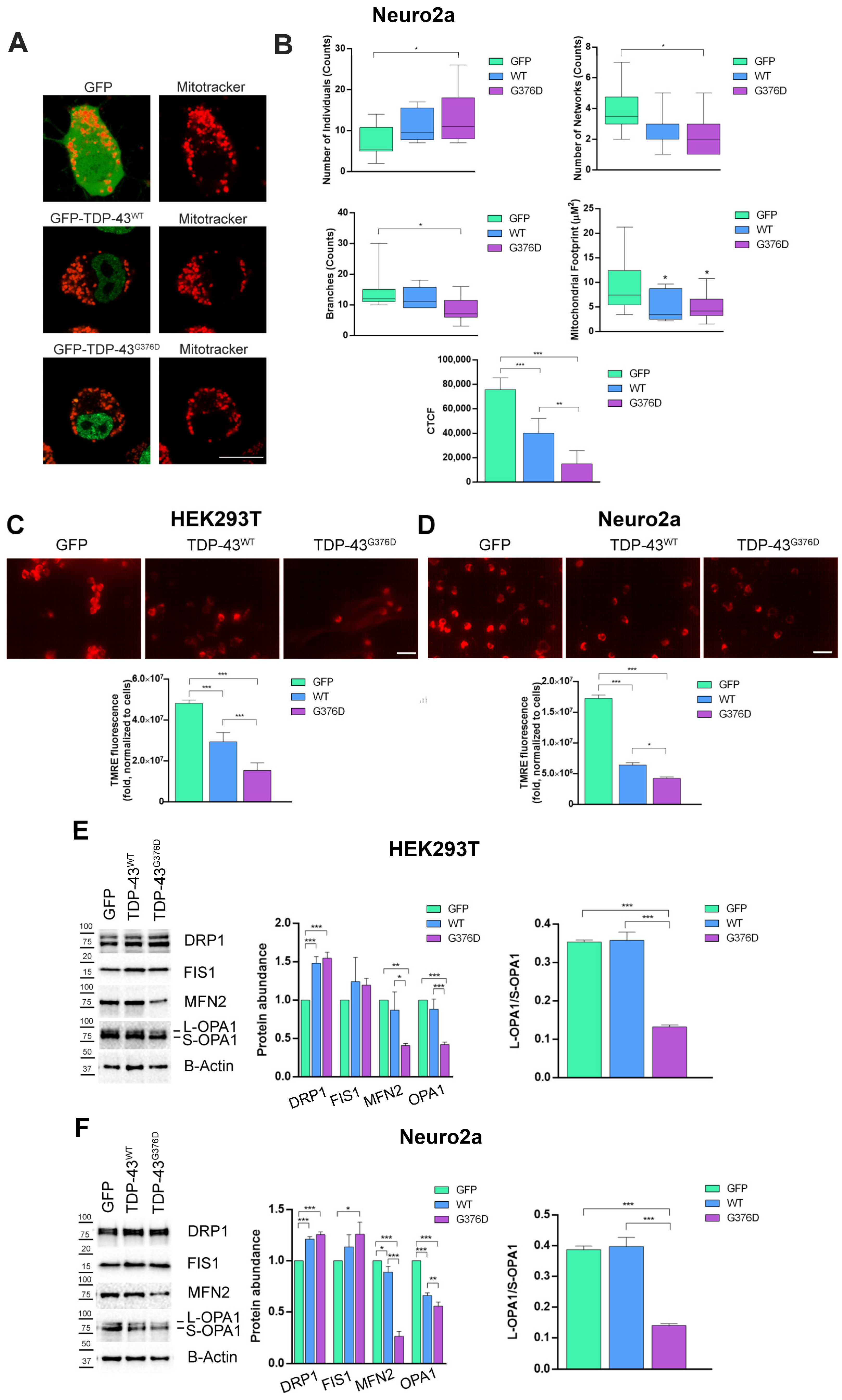 Antioxidants 14 00401 g005