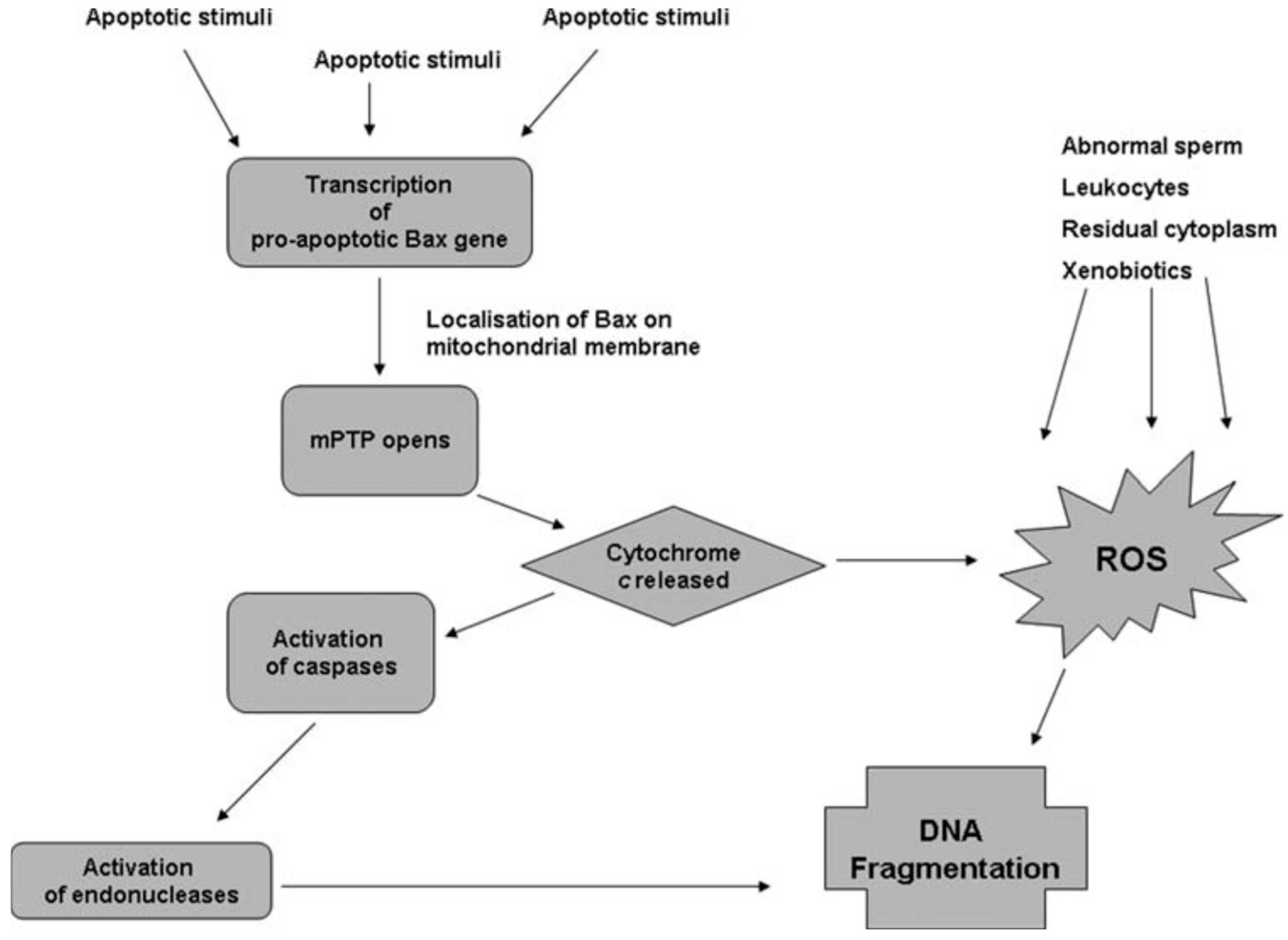 Antioxidants 14 00402 g001