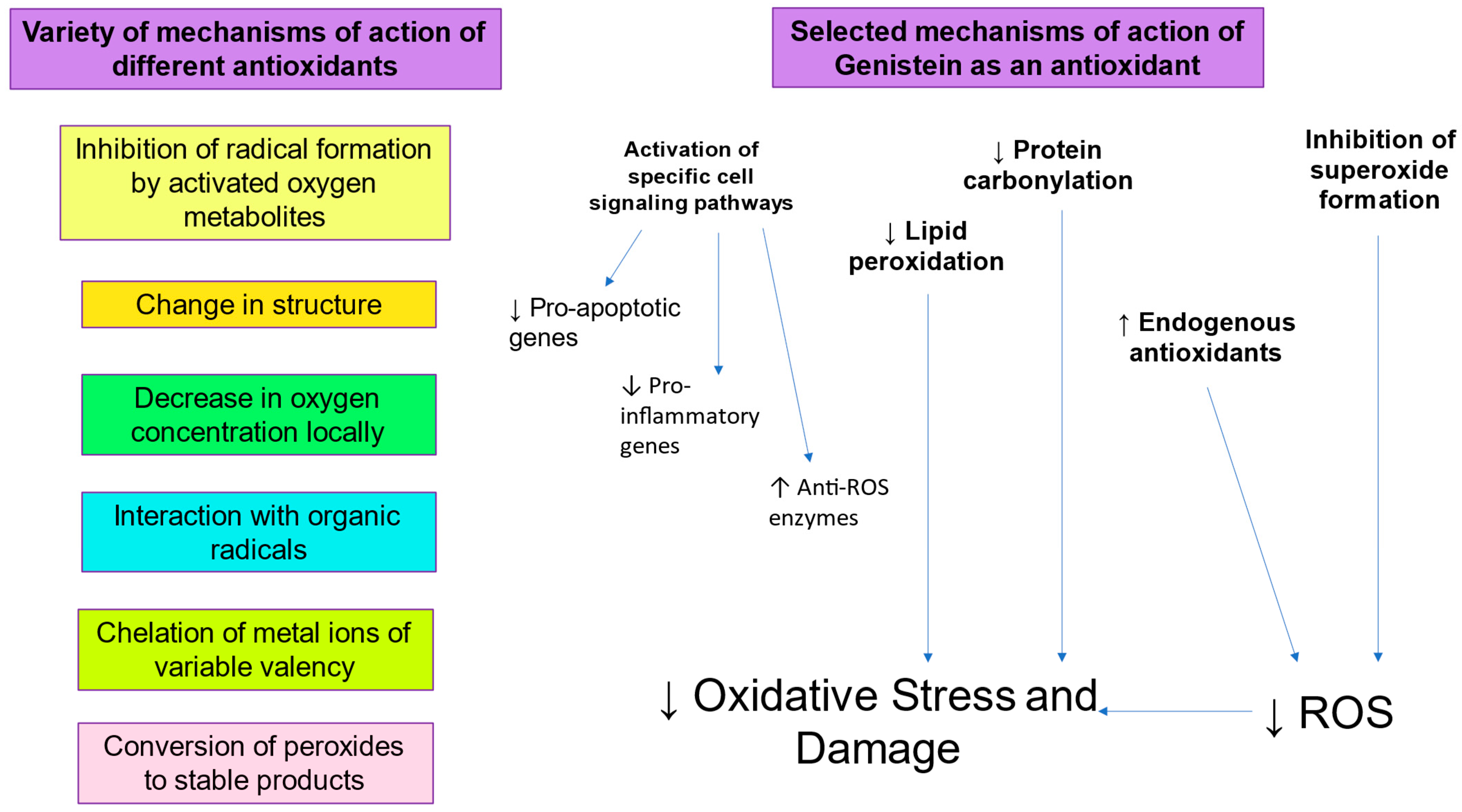 Antioxidants 14 00402 g002