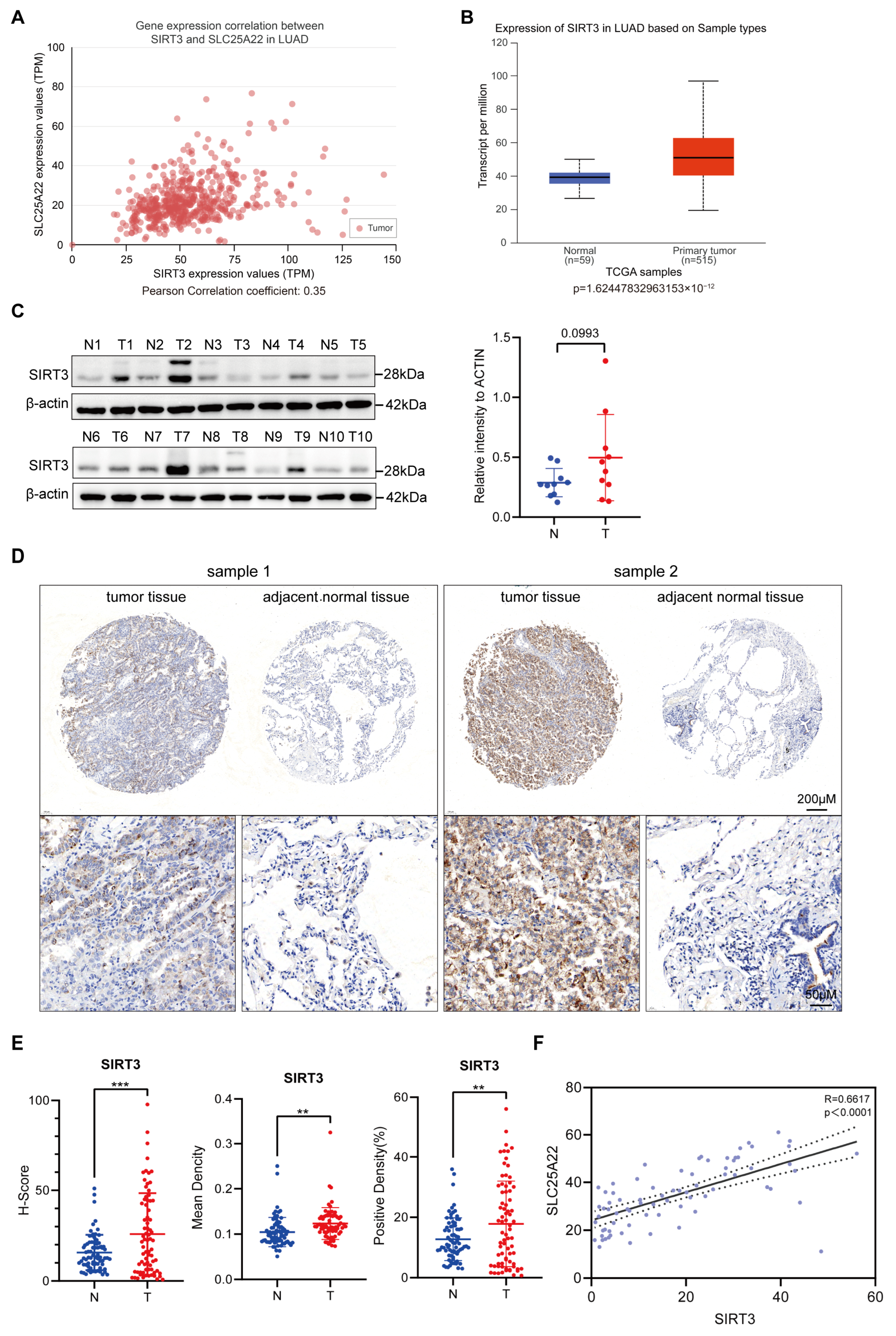 Antioxidants 14 00403 g002