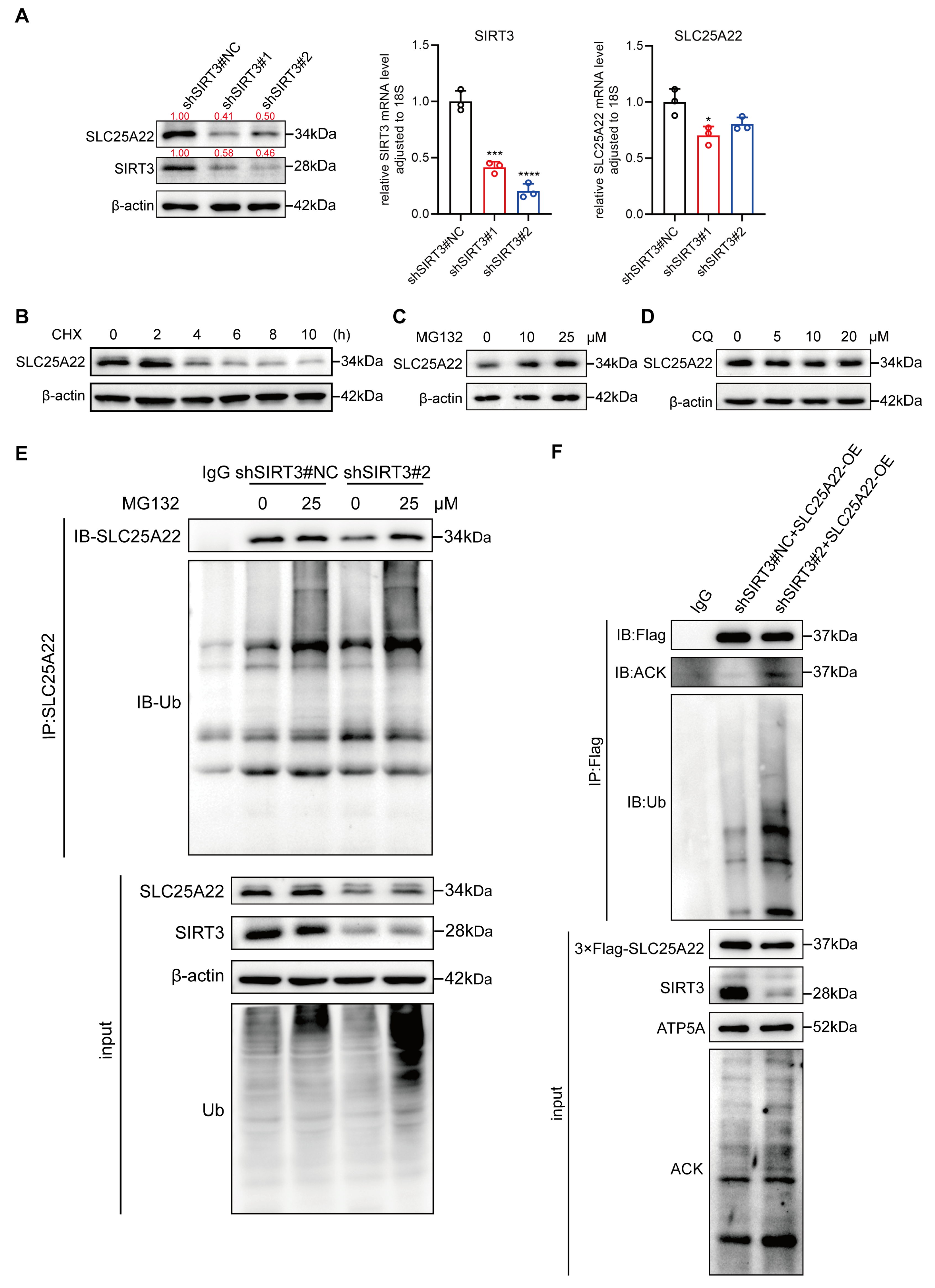 Antioxidants 14 00403 g007