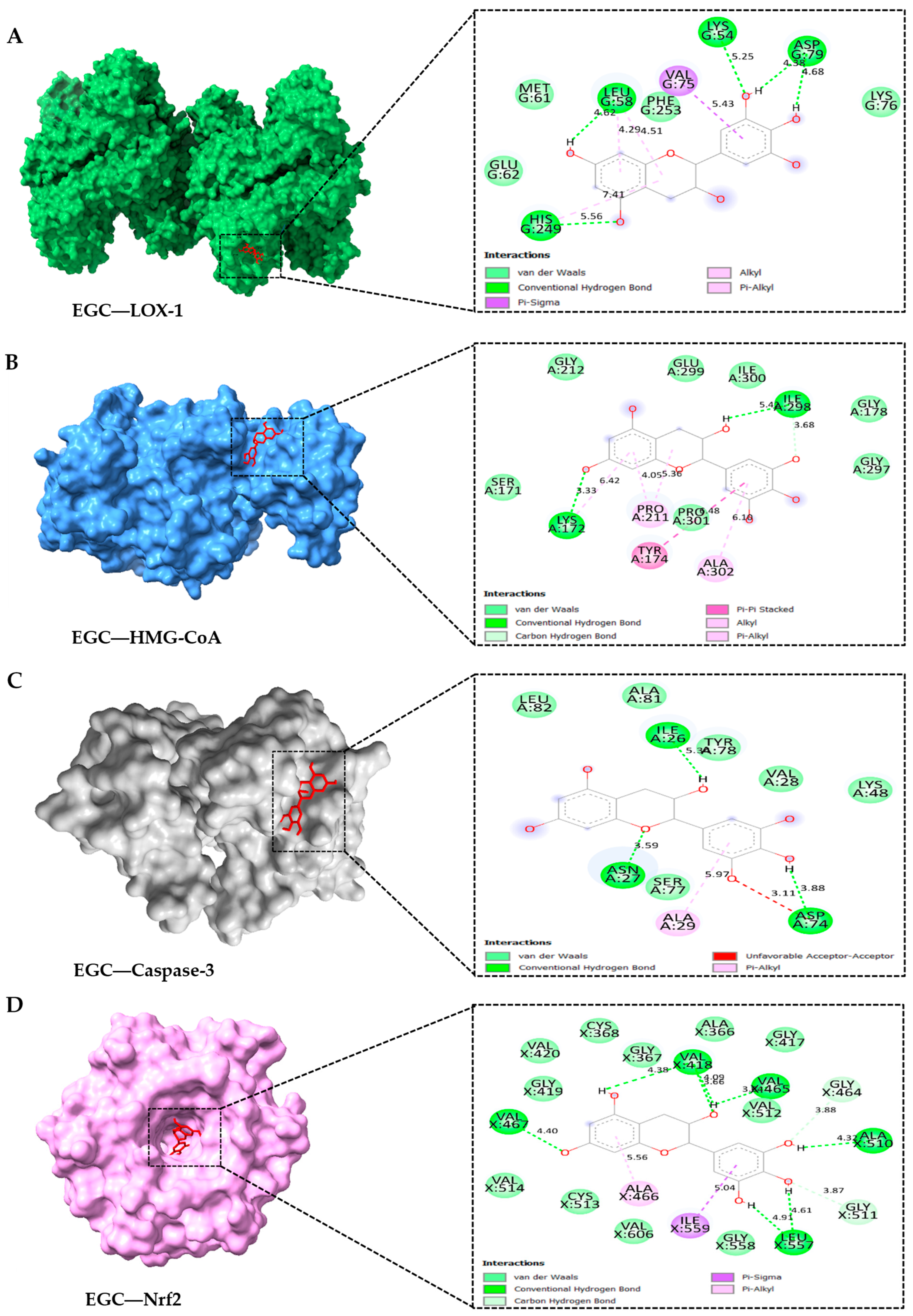 Antioxidants 14 00404 g008