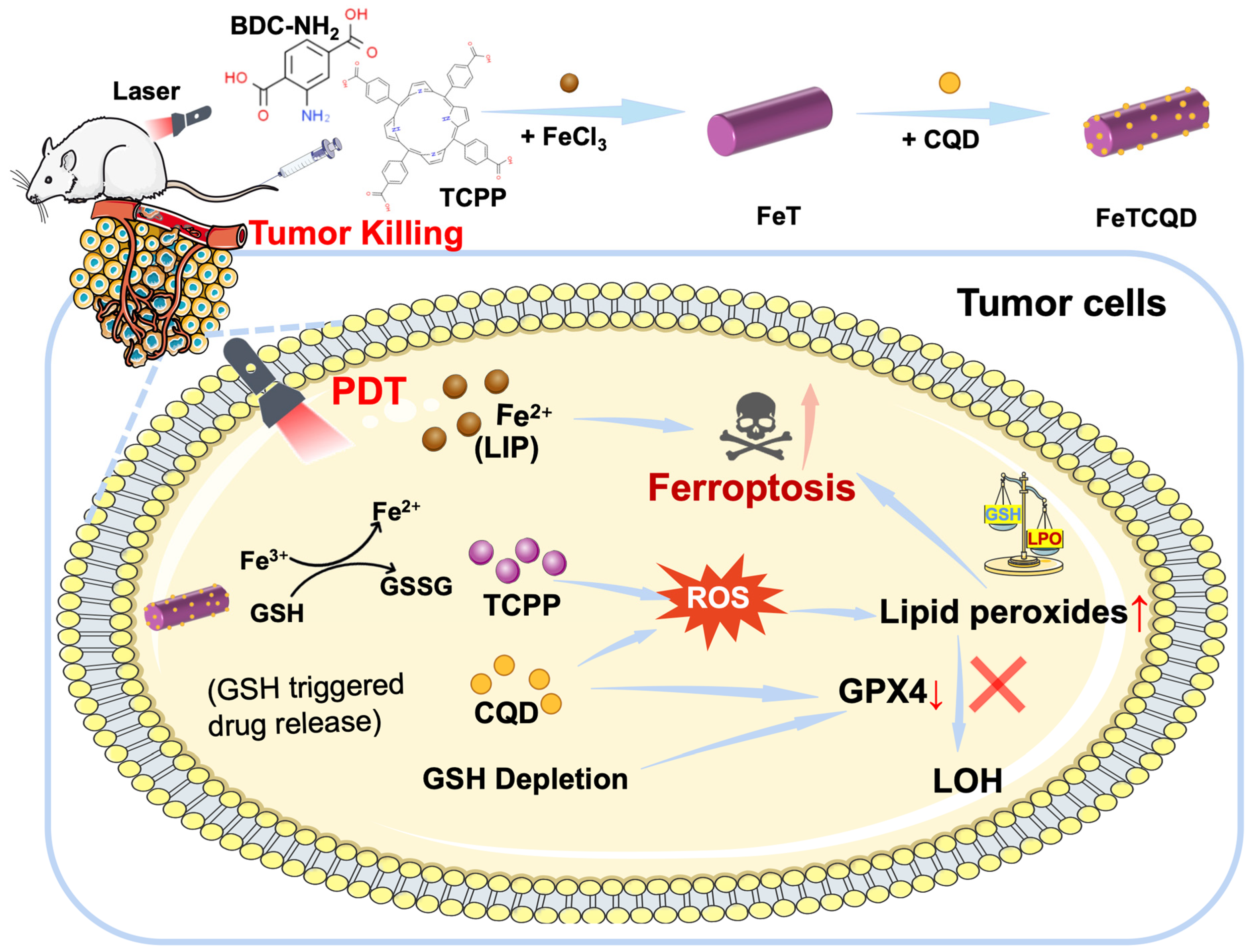 Antioxidants 14 00407 sch001