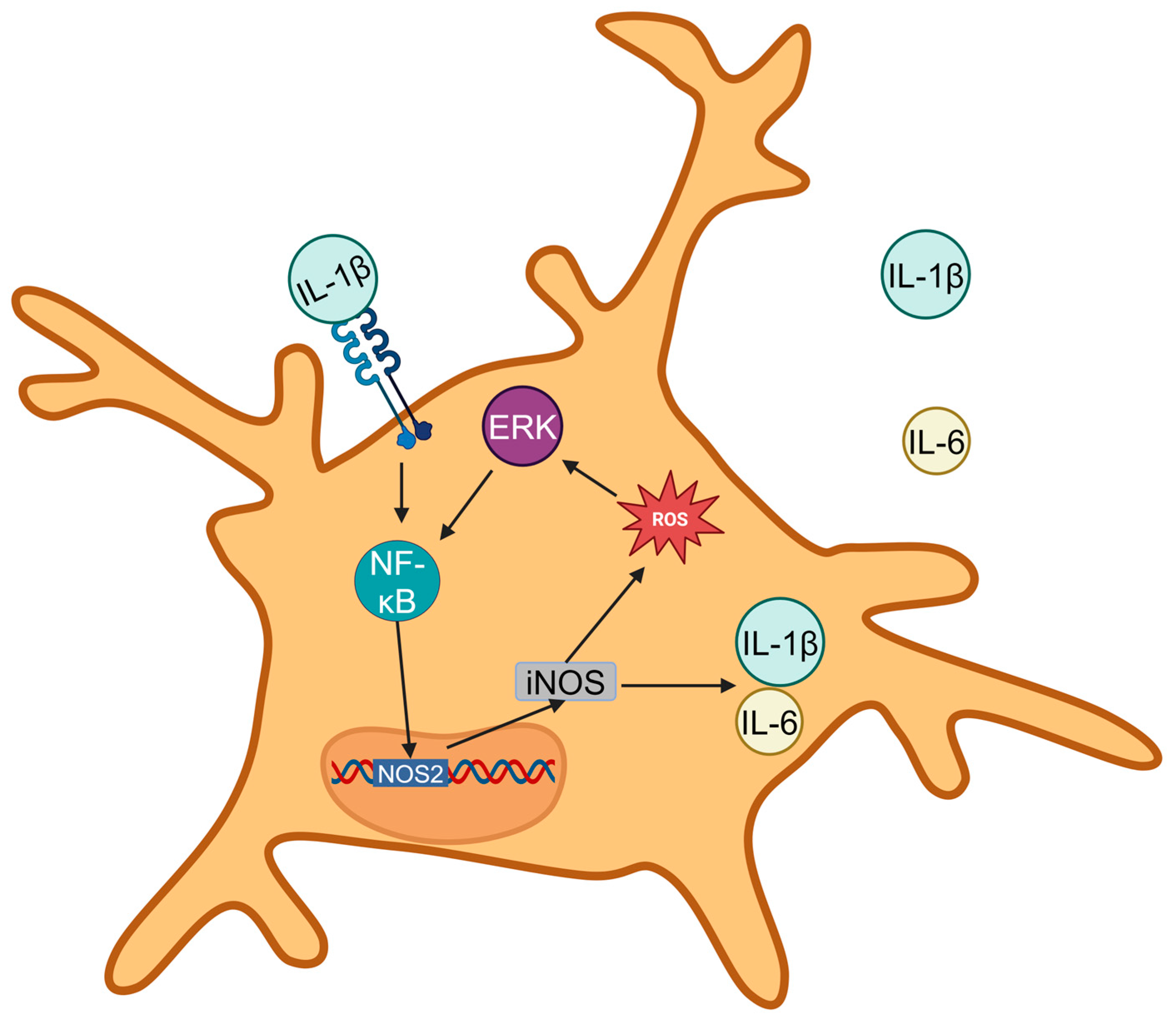 Antioxidants 14 00408 g002 Antioxidants 14 00408 g002