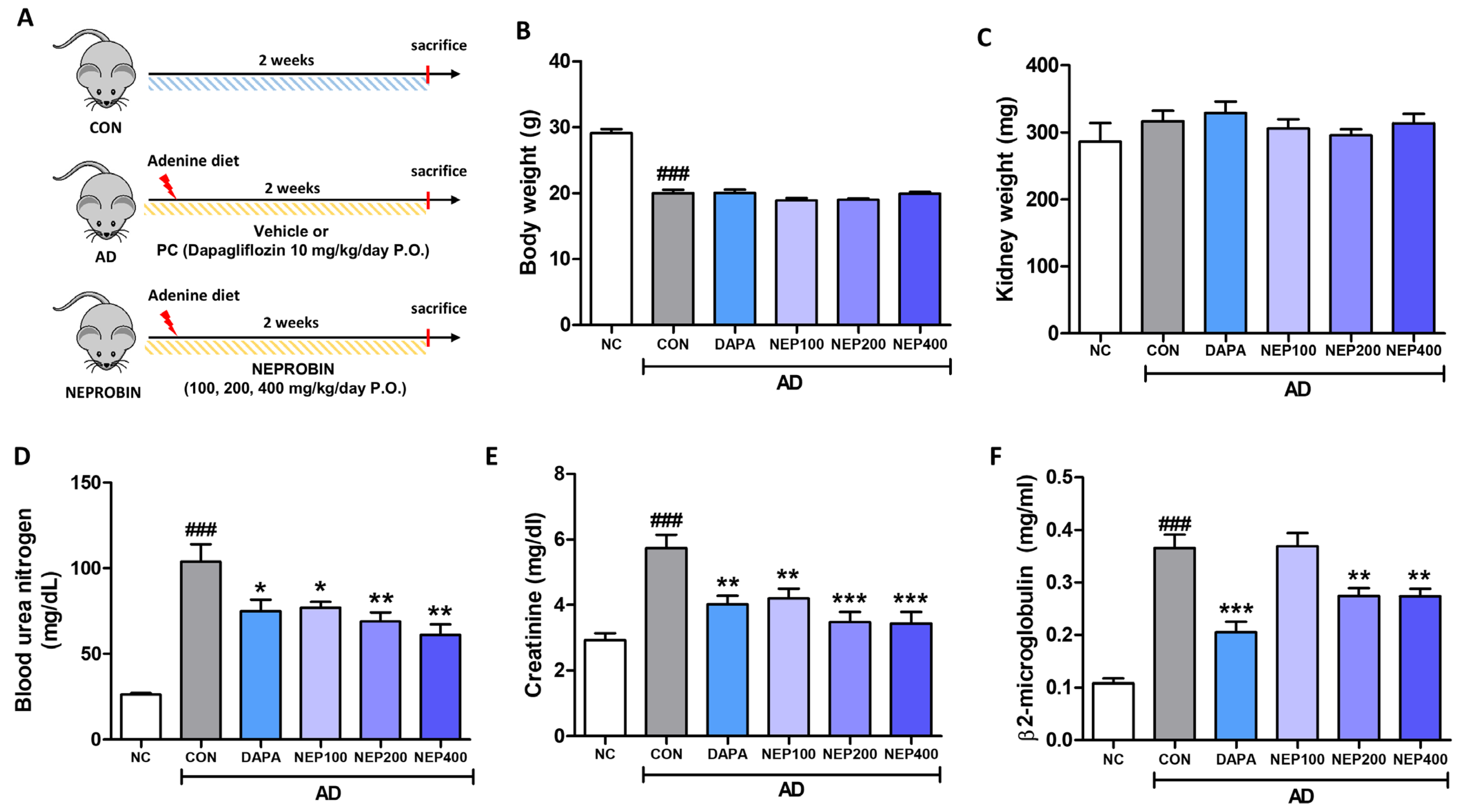 Antioxidants 14 00409 g004