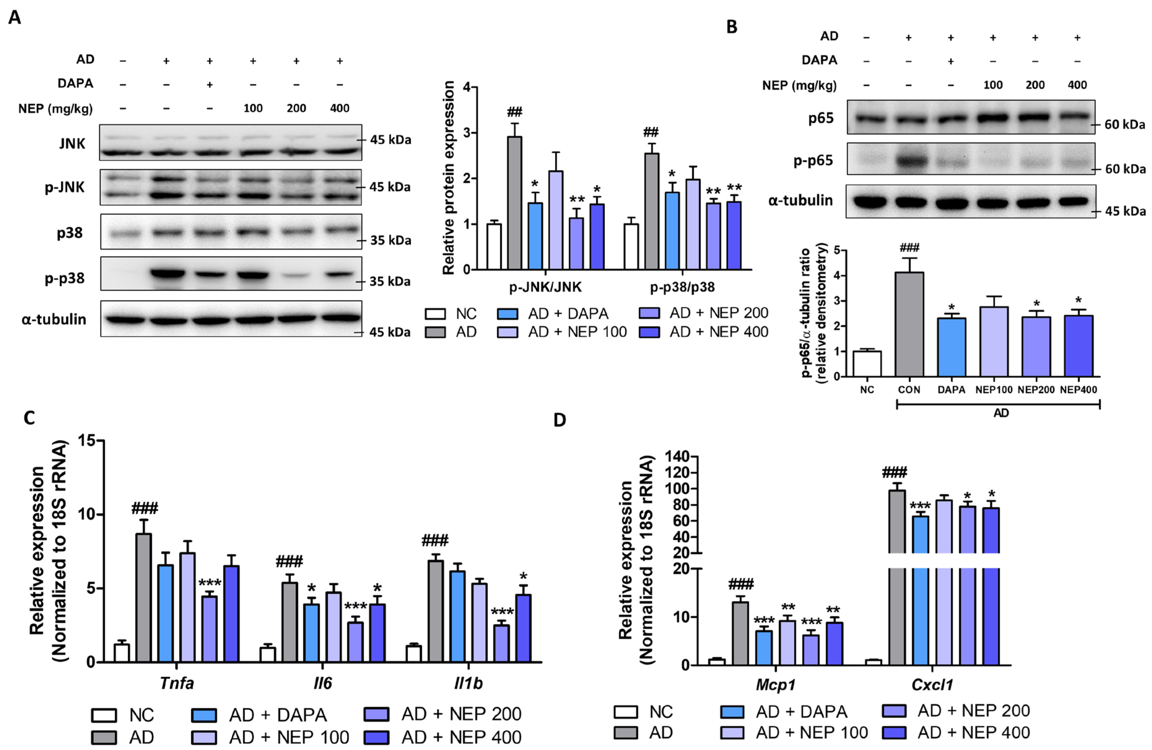 Antioxidants 14 00409 g006