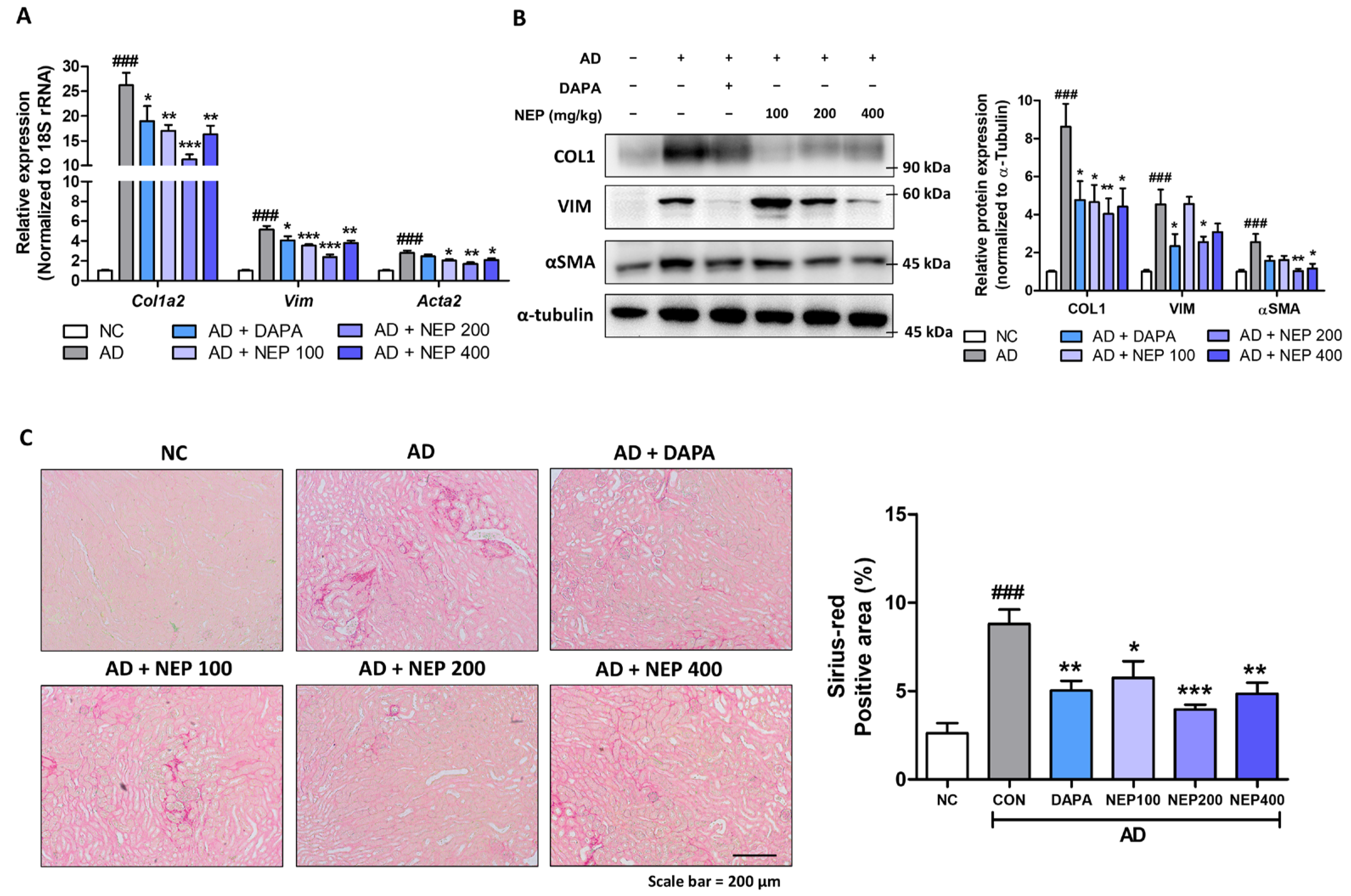Antioxidants 14 00409 g007