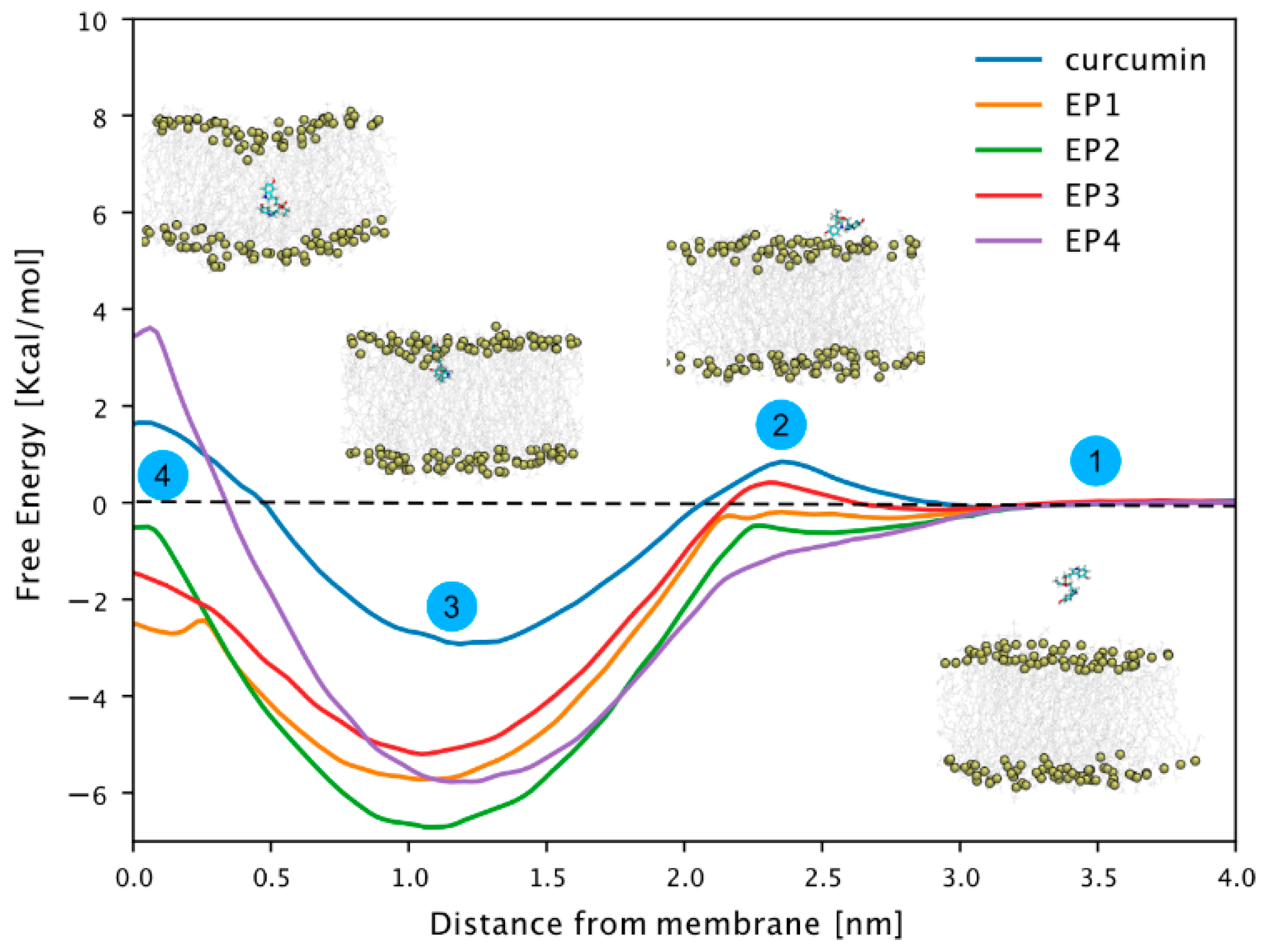 Antioxidants 14 00412 g002