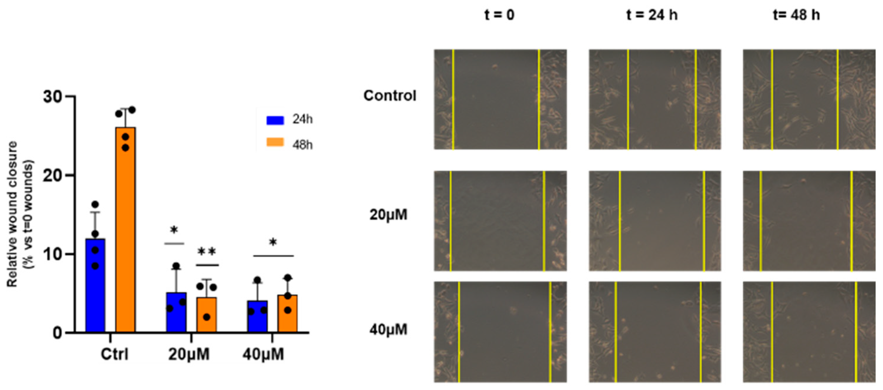 Antioxidants 14 00412 g005
