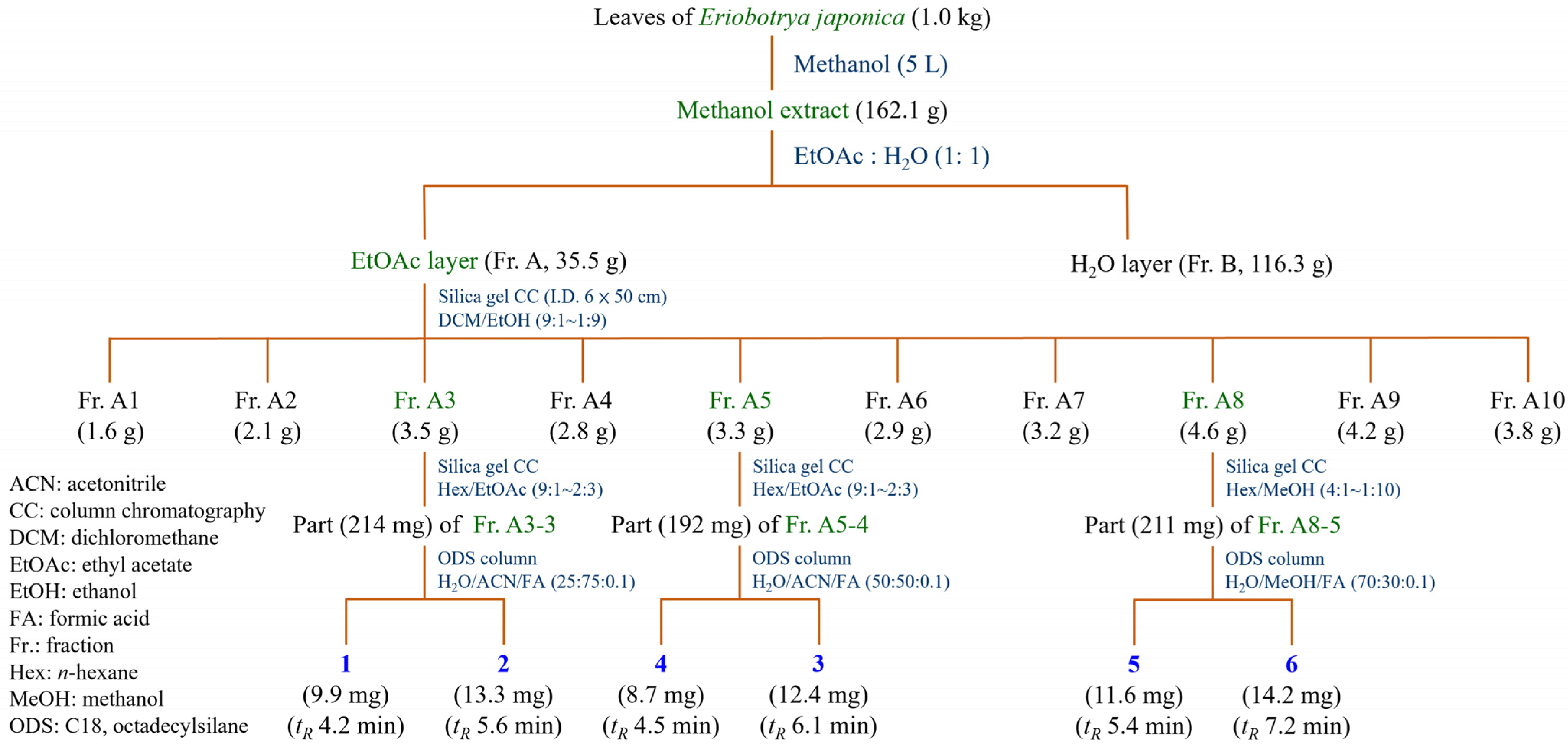 Antioxidants 14 00413 g001