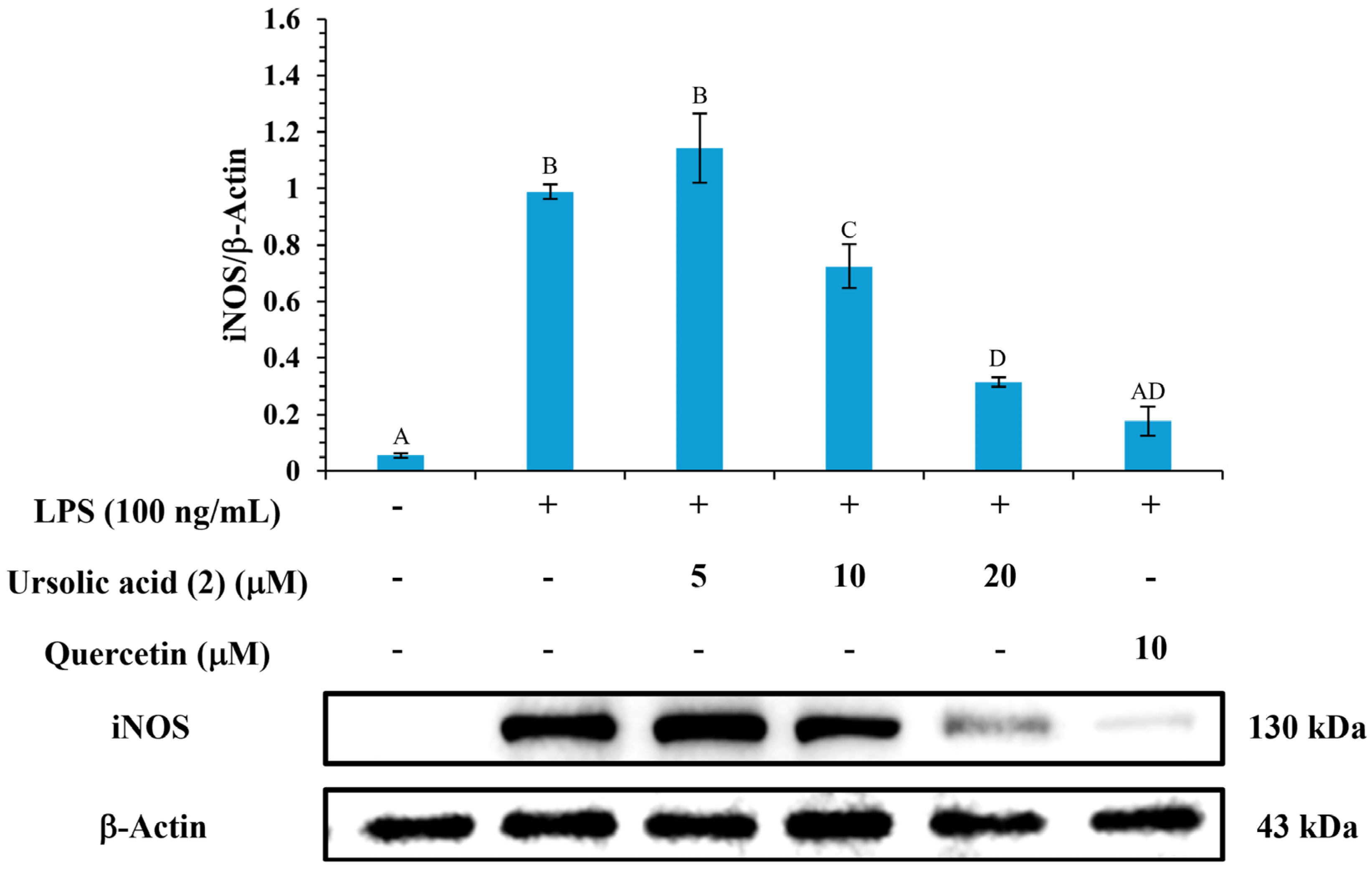 Antioxidants 14 00413 g003