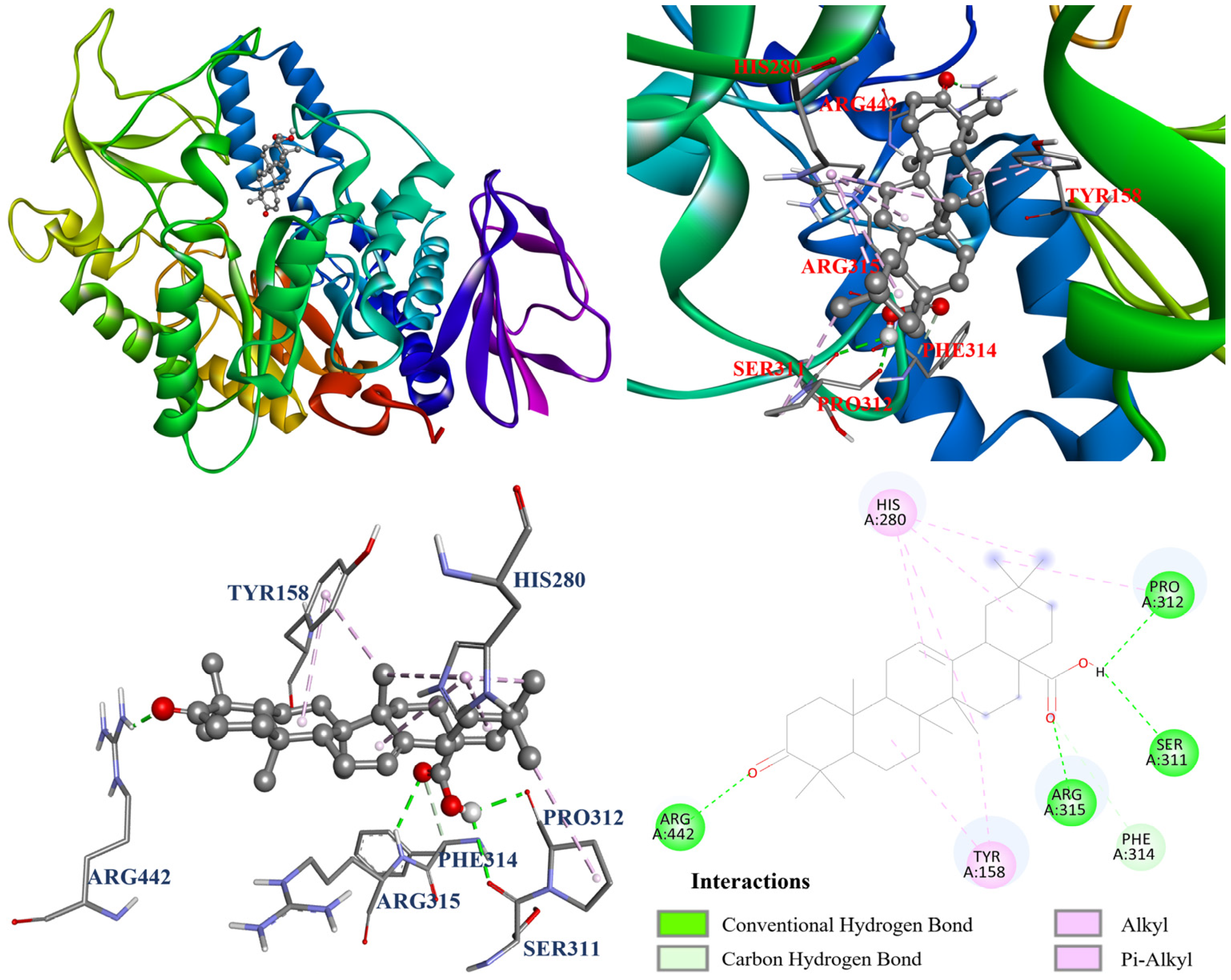 Antioxidants 14 00413 g004
