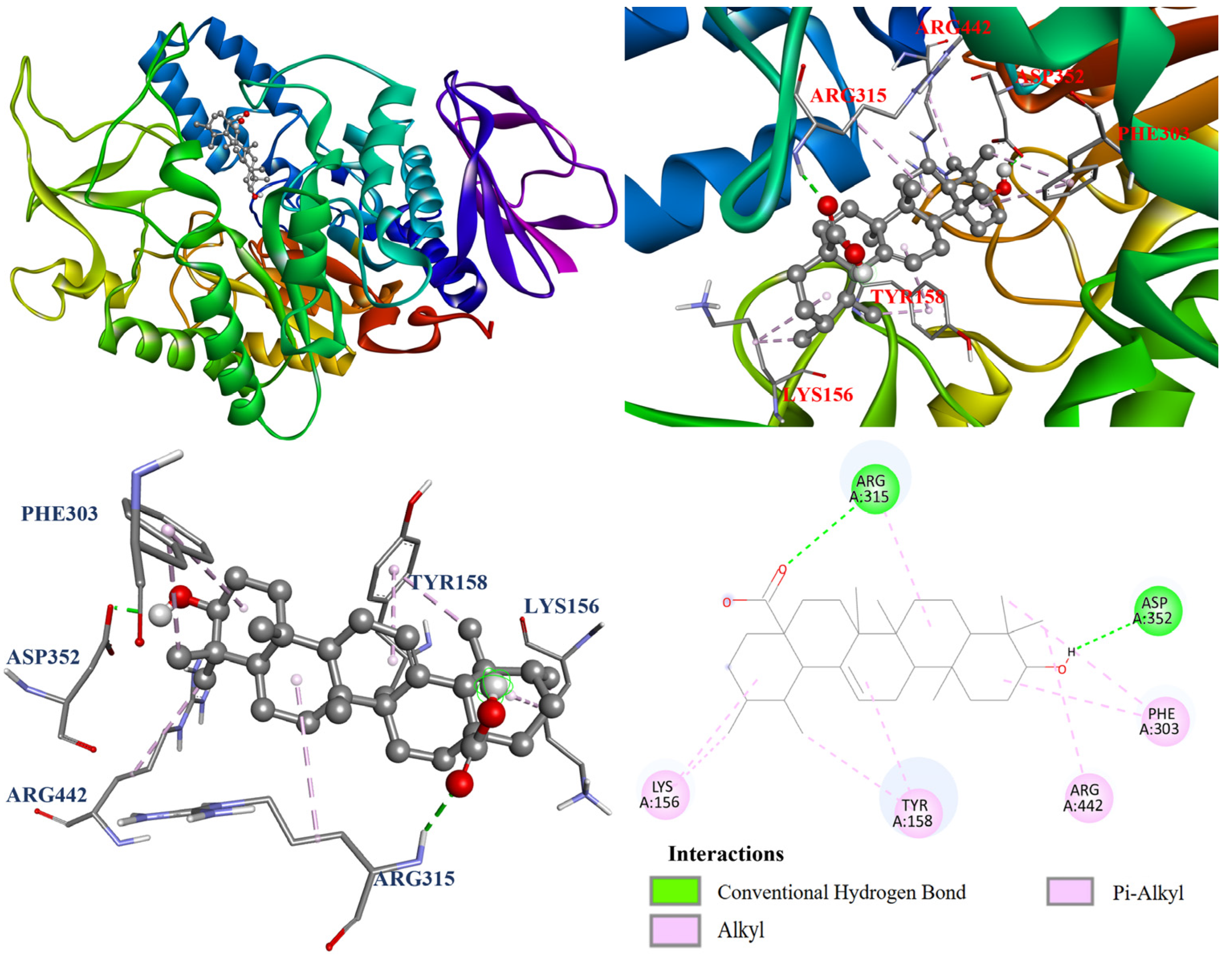Antioxidants 14 00413 g005