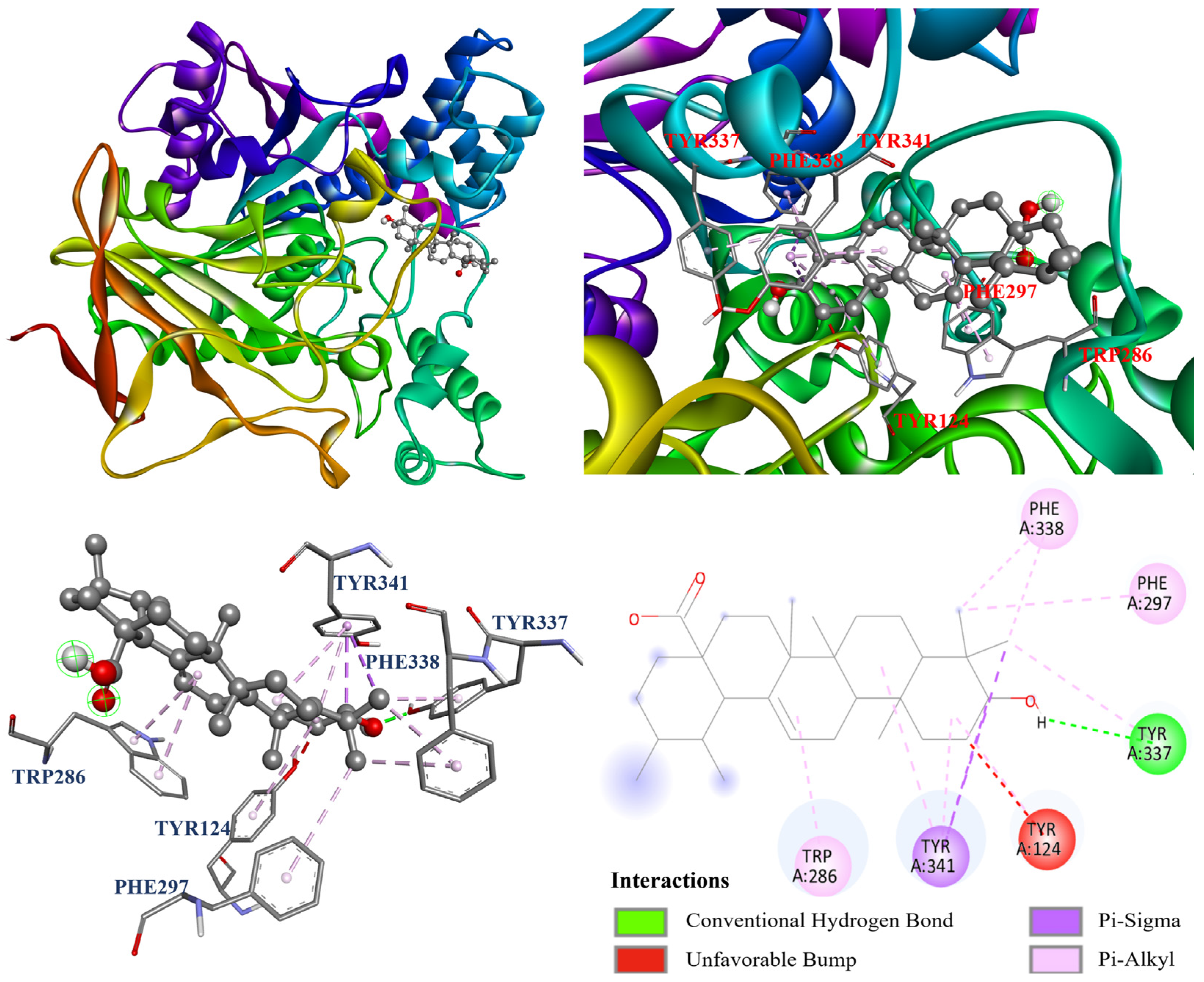 Antioxidants 14 00413 g008