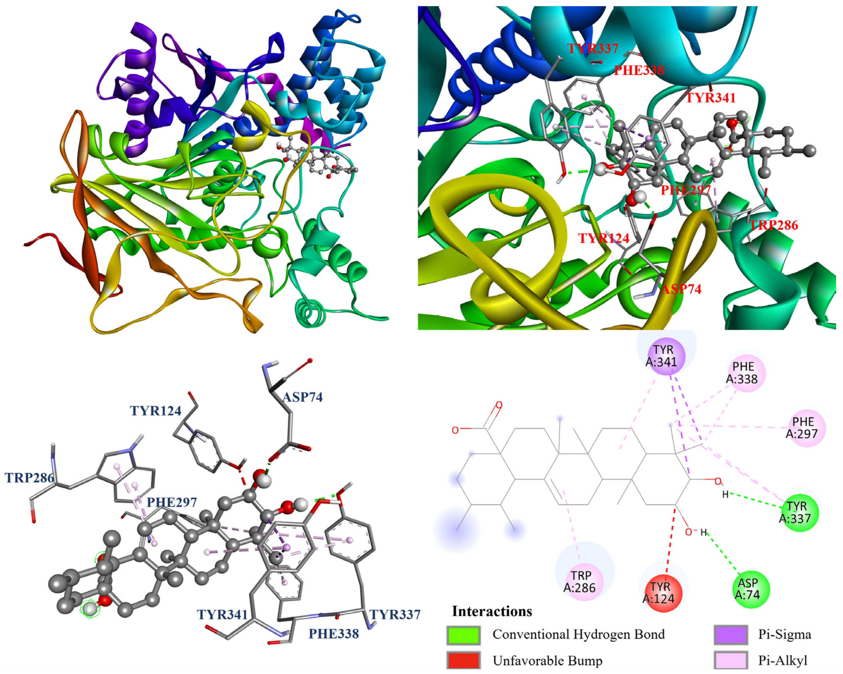 Antioxidants 14 00413 g009