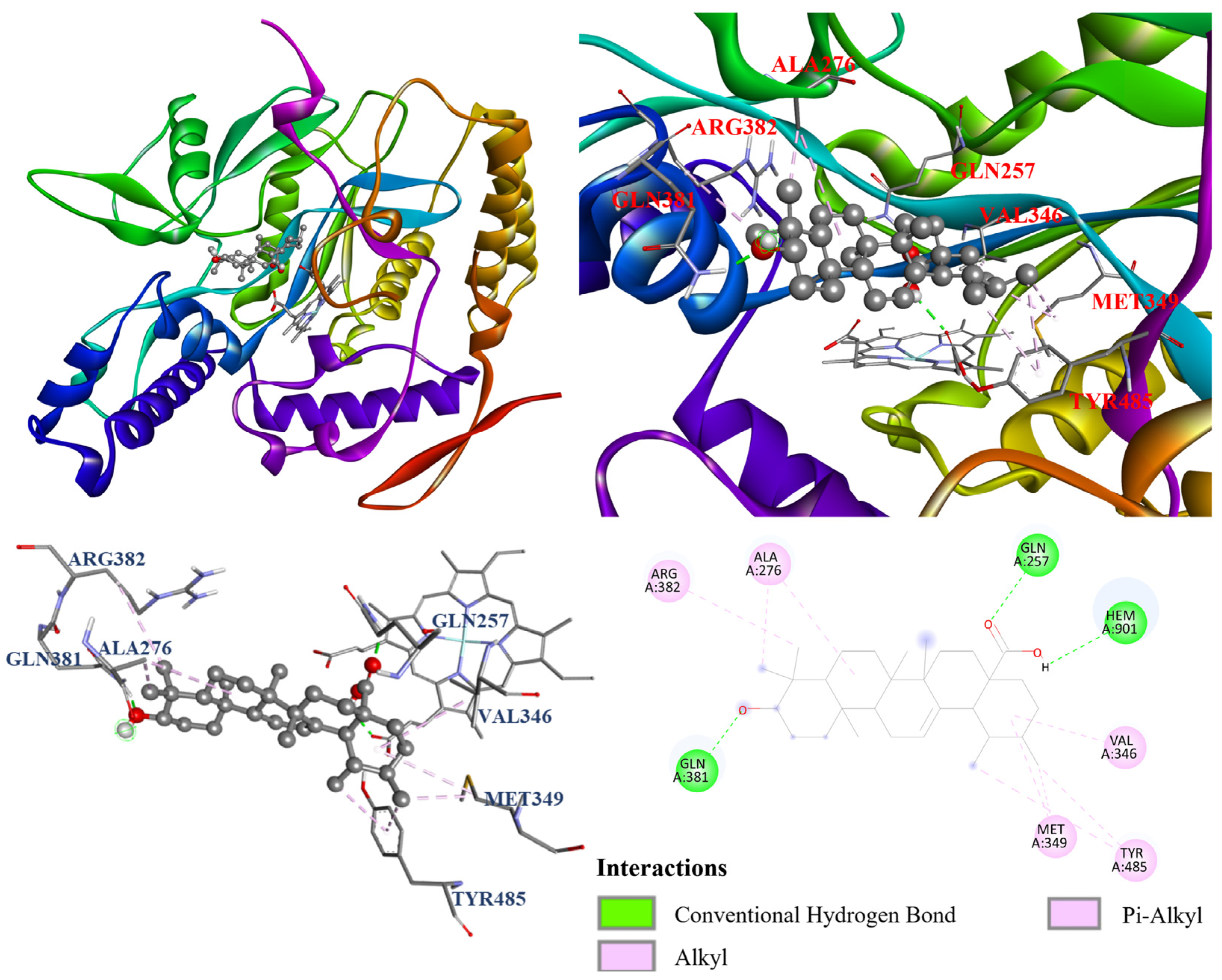 Antioxidants 14 00413 g011