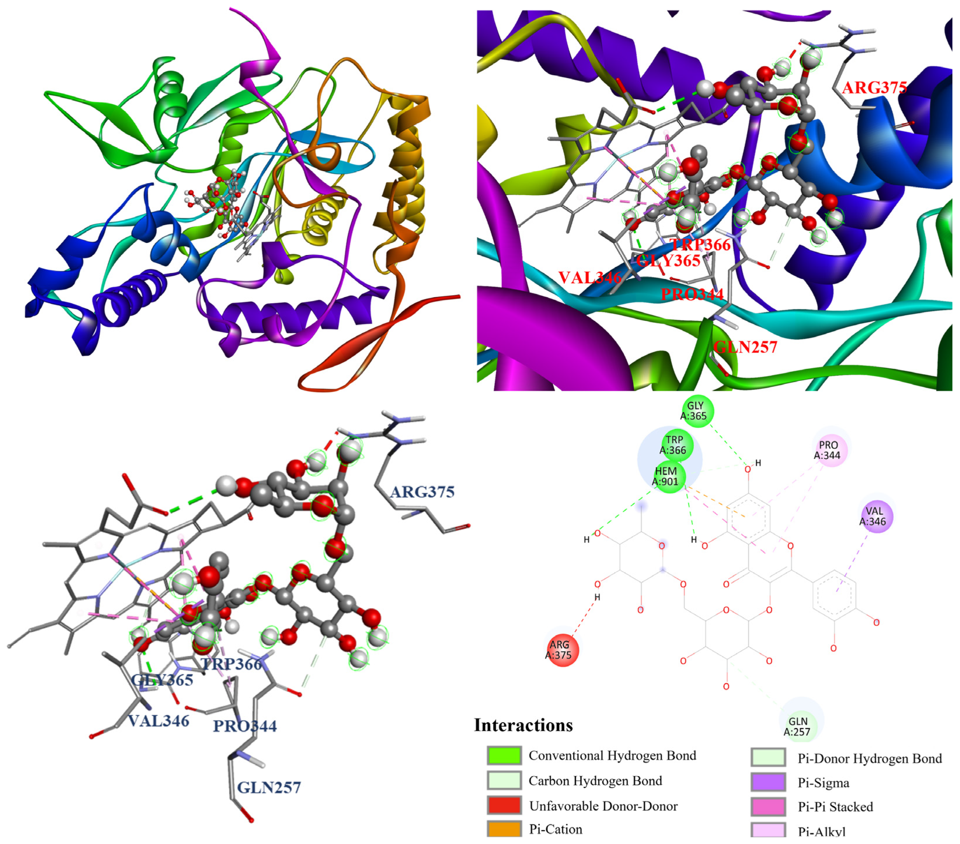Antioxidants 14 00413 g012