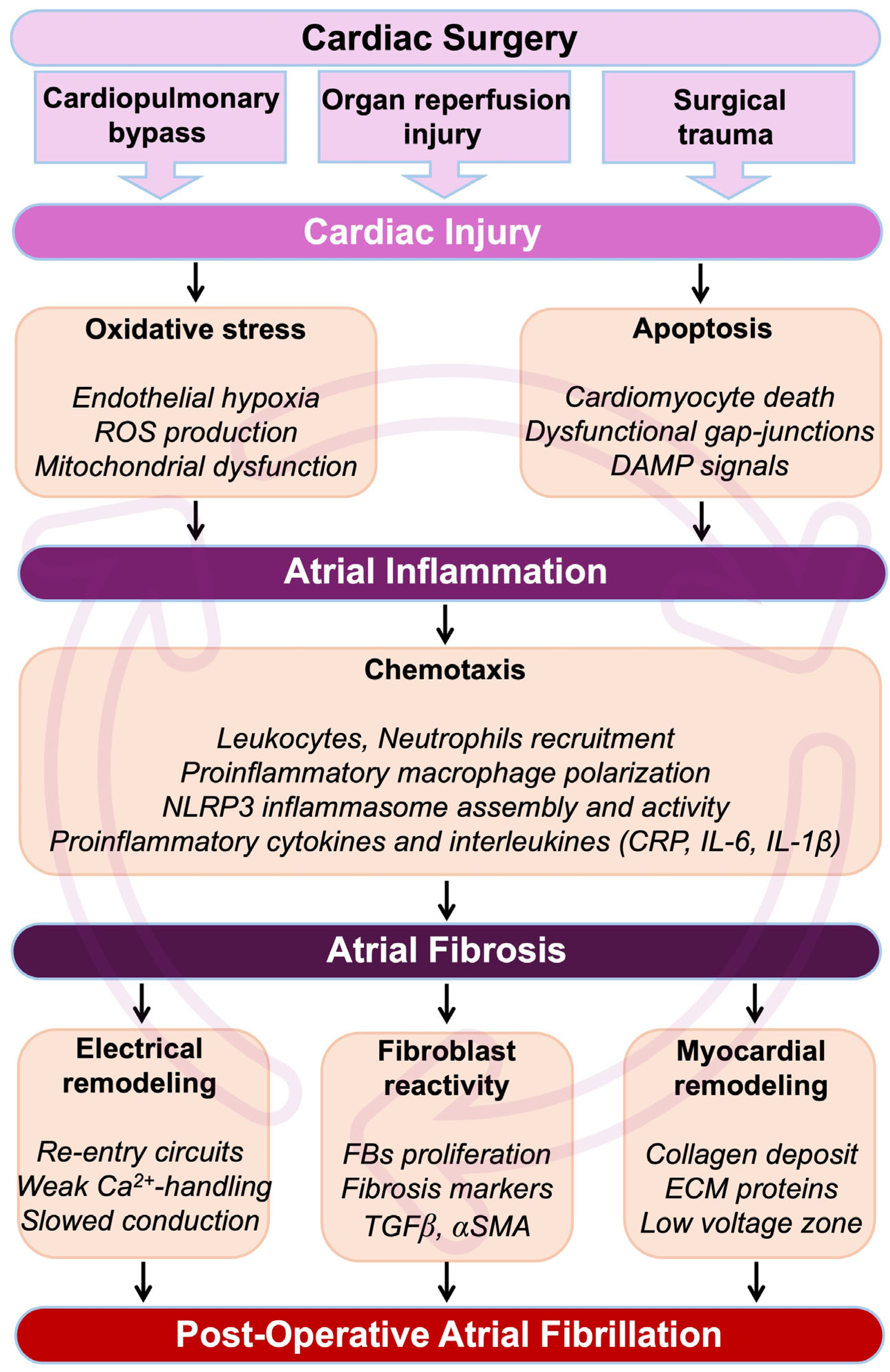Antioxidants 14 00414 g001