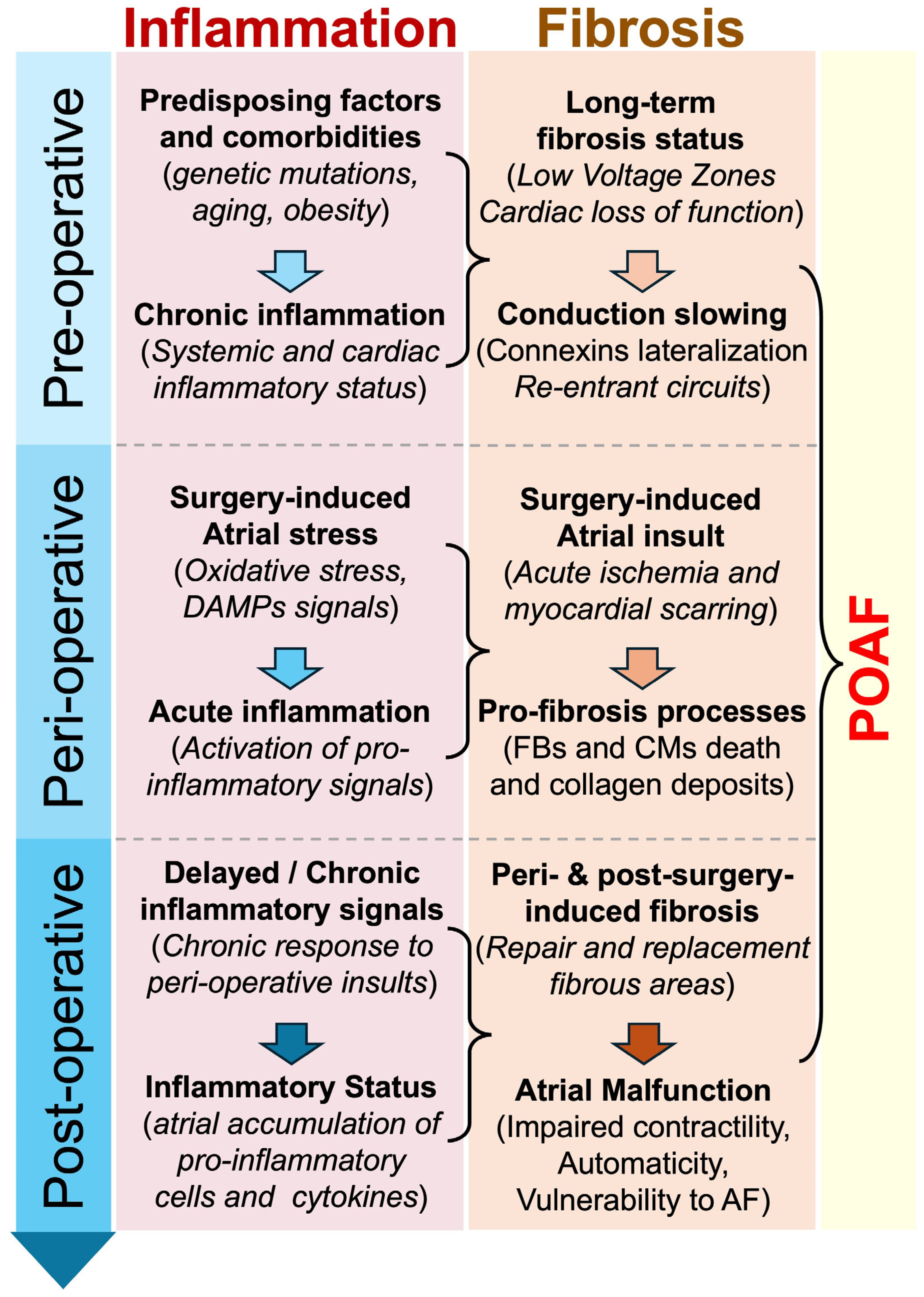 Antioxidants 14 00414 g002