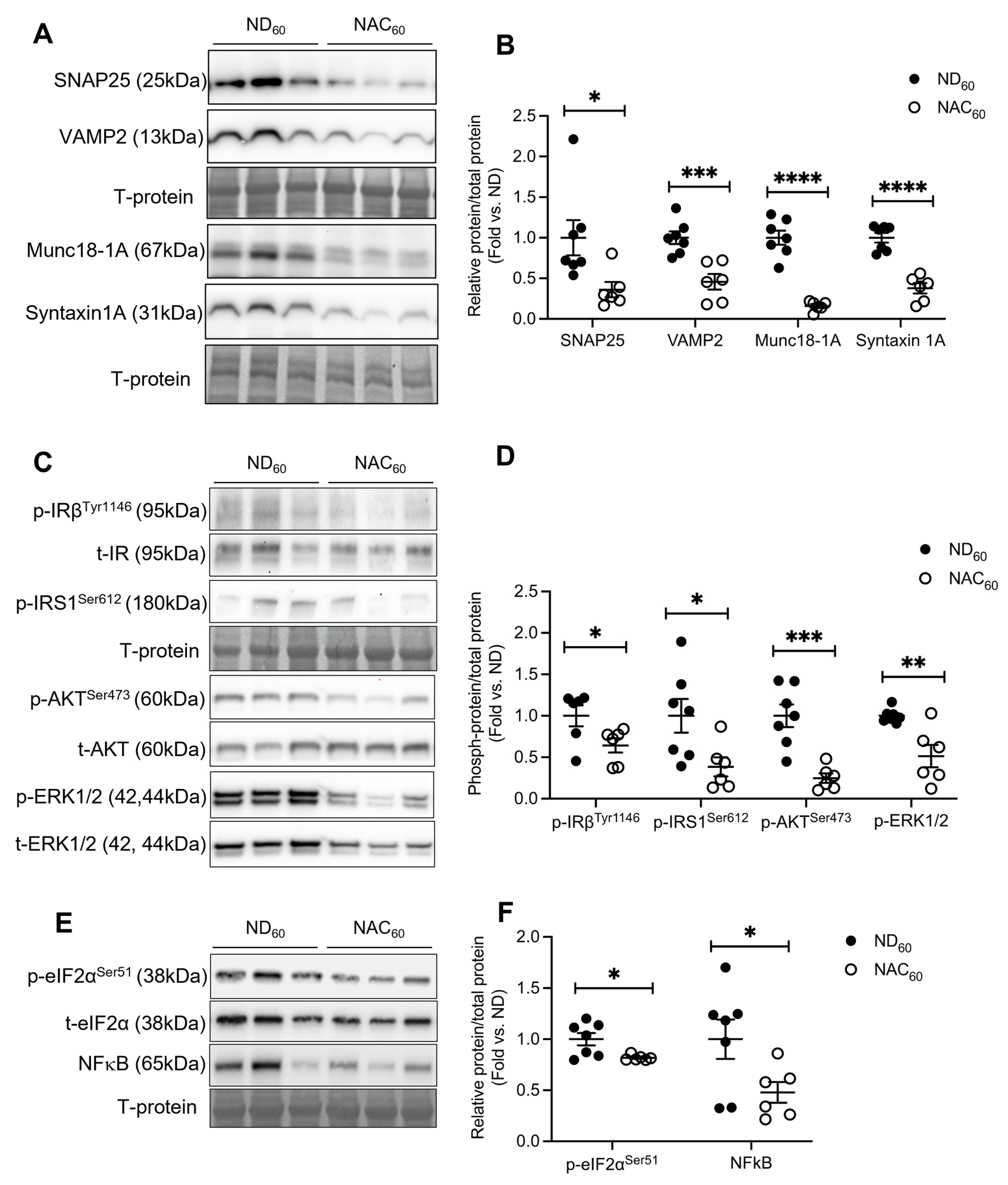 Antioxidants 14 00417 g005