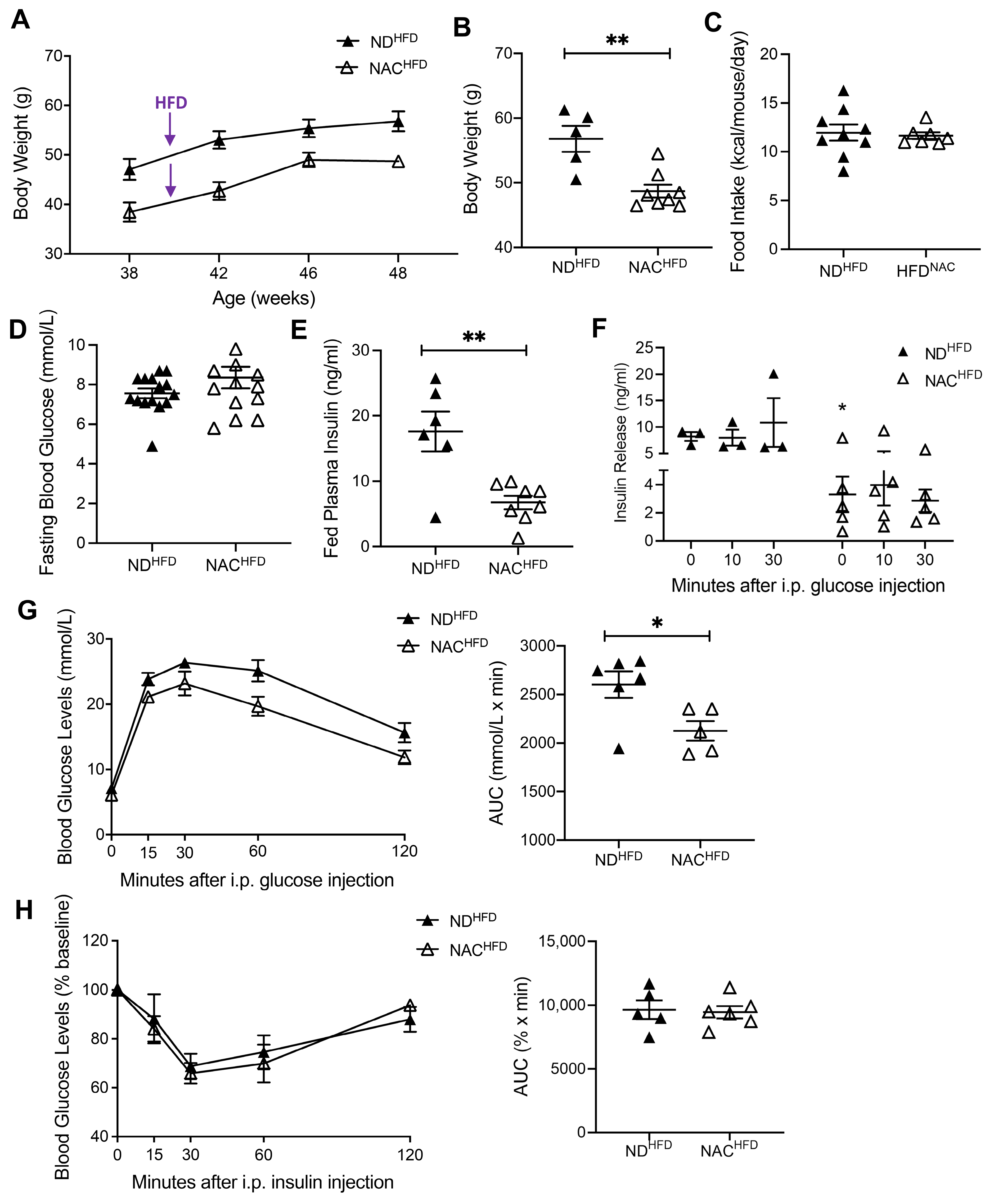 Antioxidants 14 00417 g006