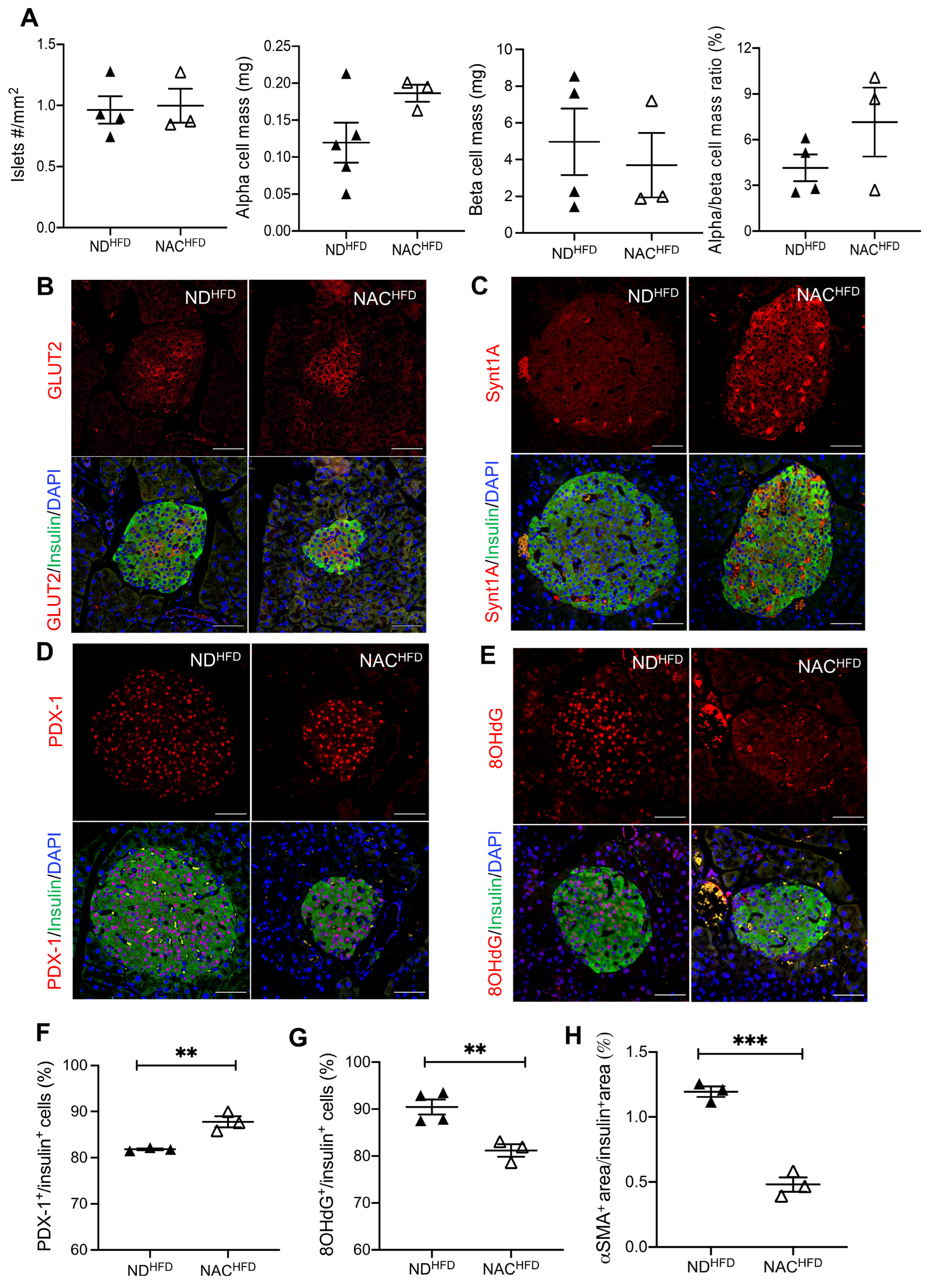Antioxidants 14 00417 g007