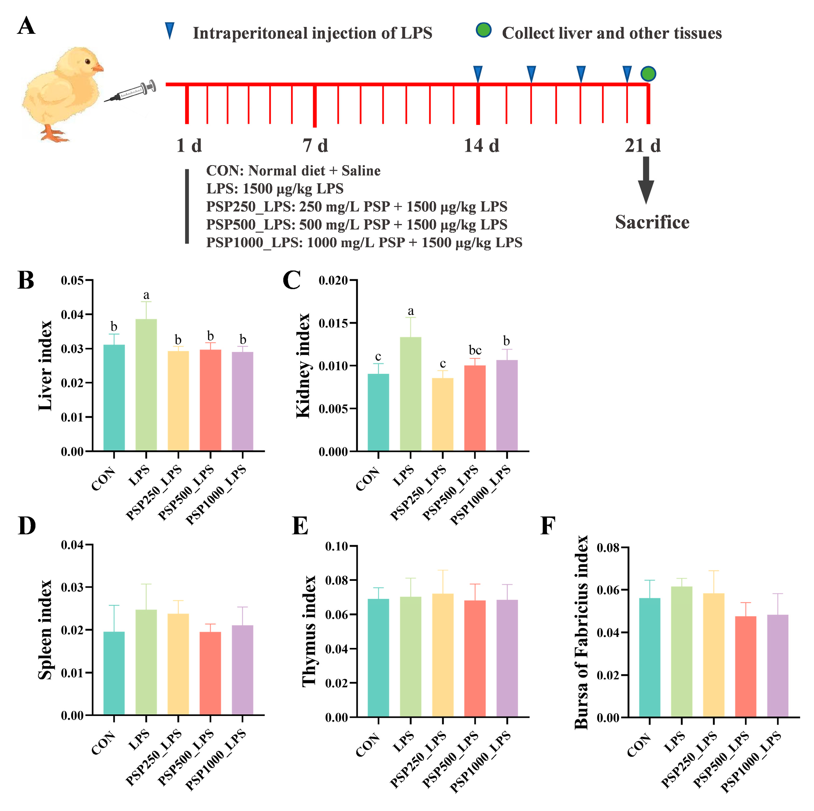 Antioxidants 14 00418 g001