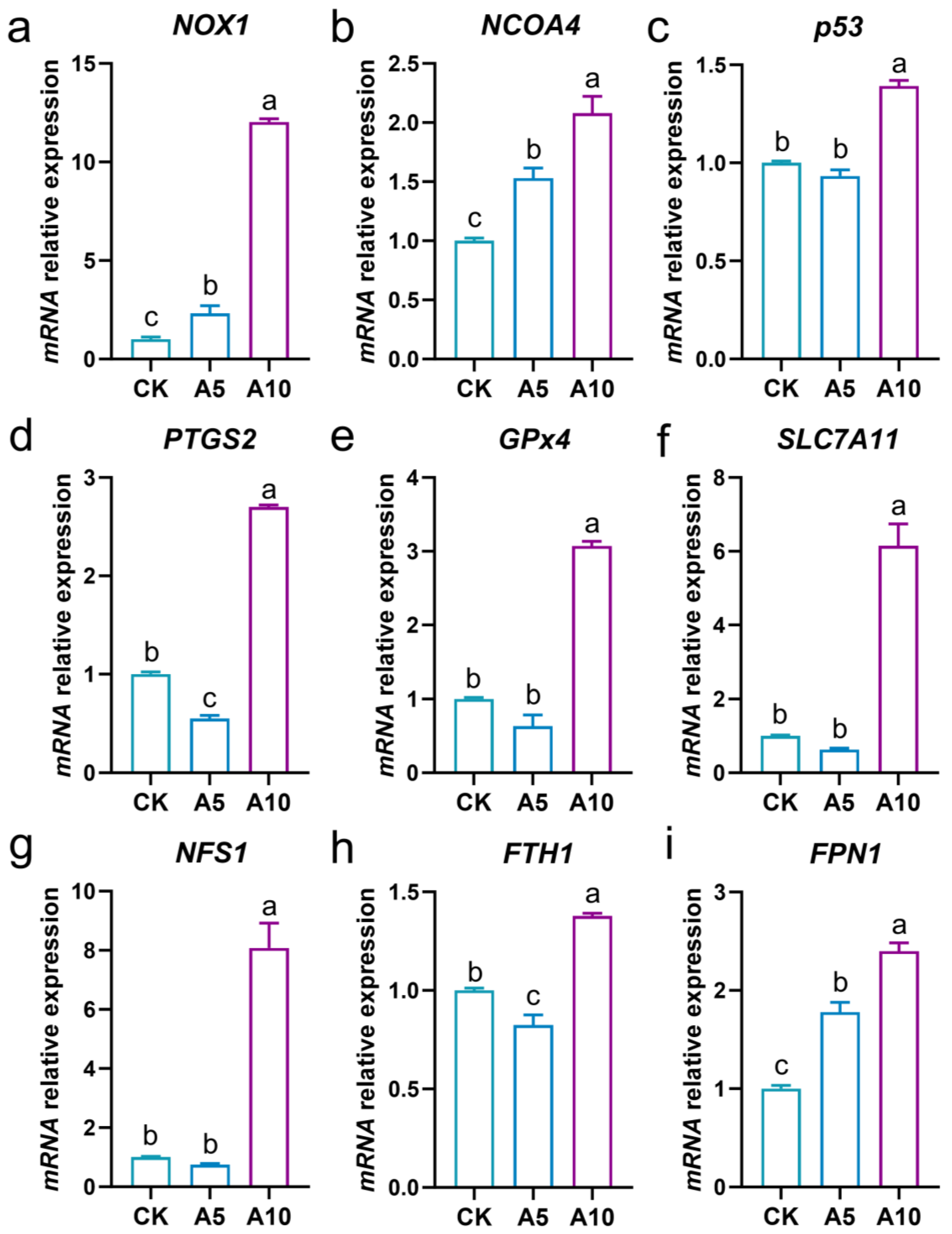 Antioxidants 14 00419 g004