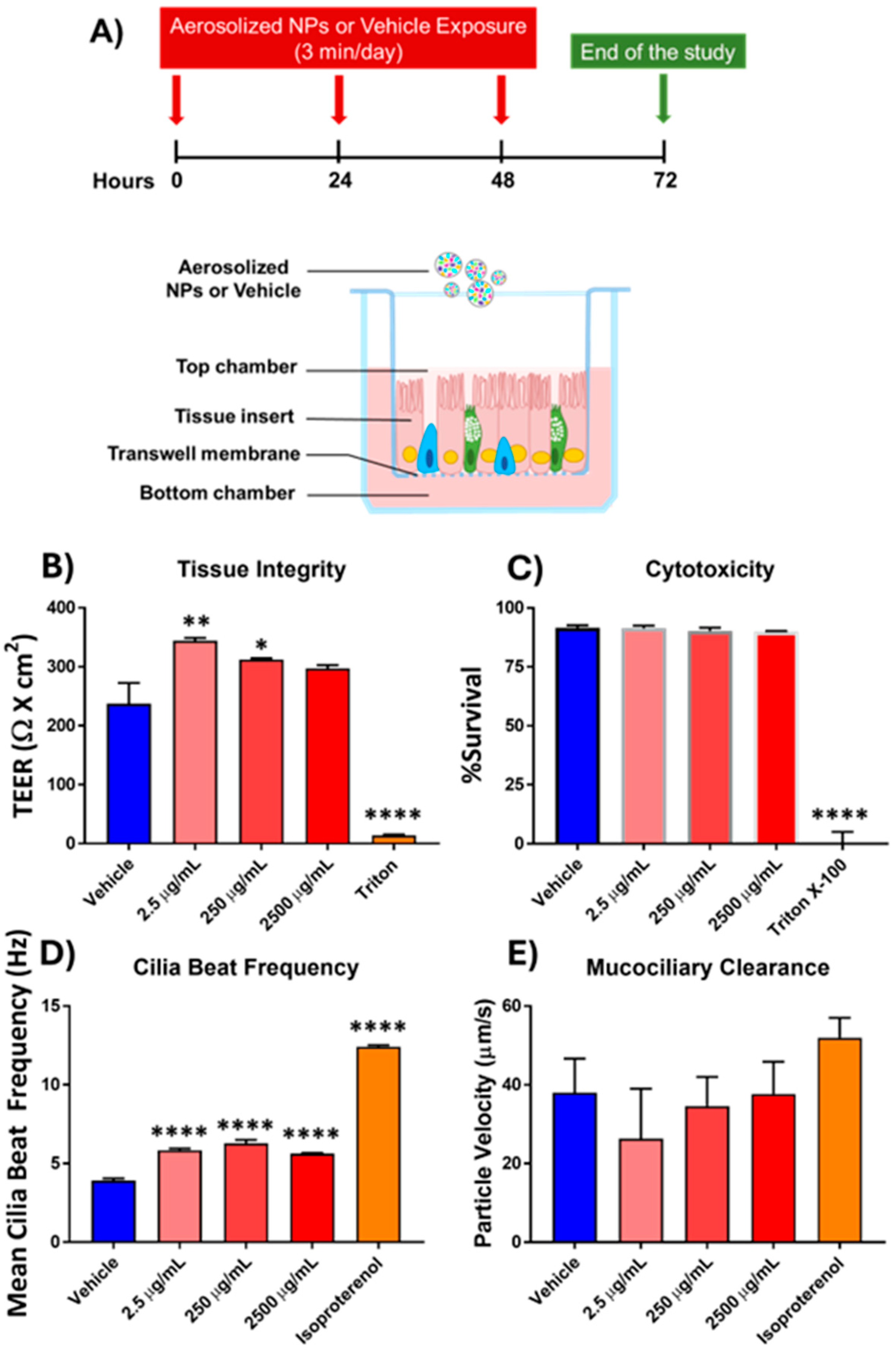 Antioxidants 14 00424 g001