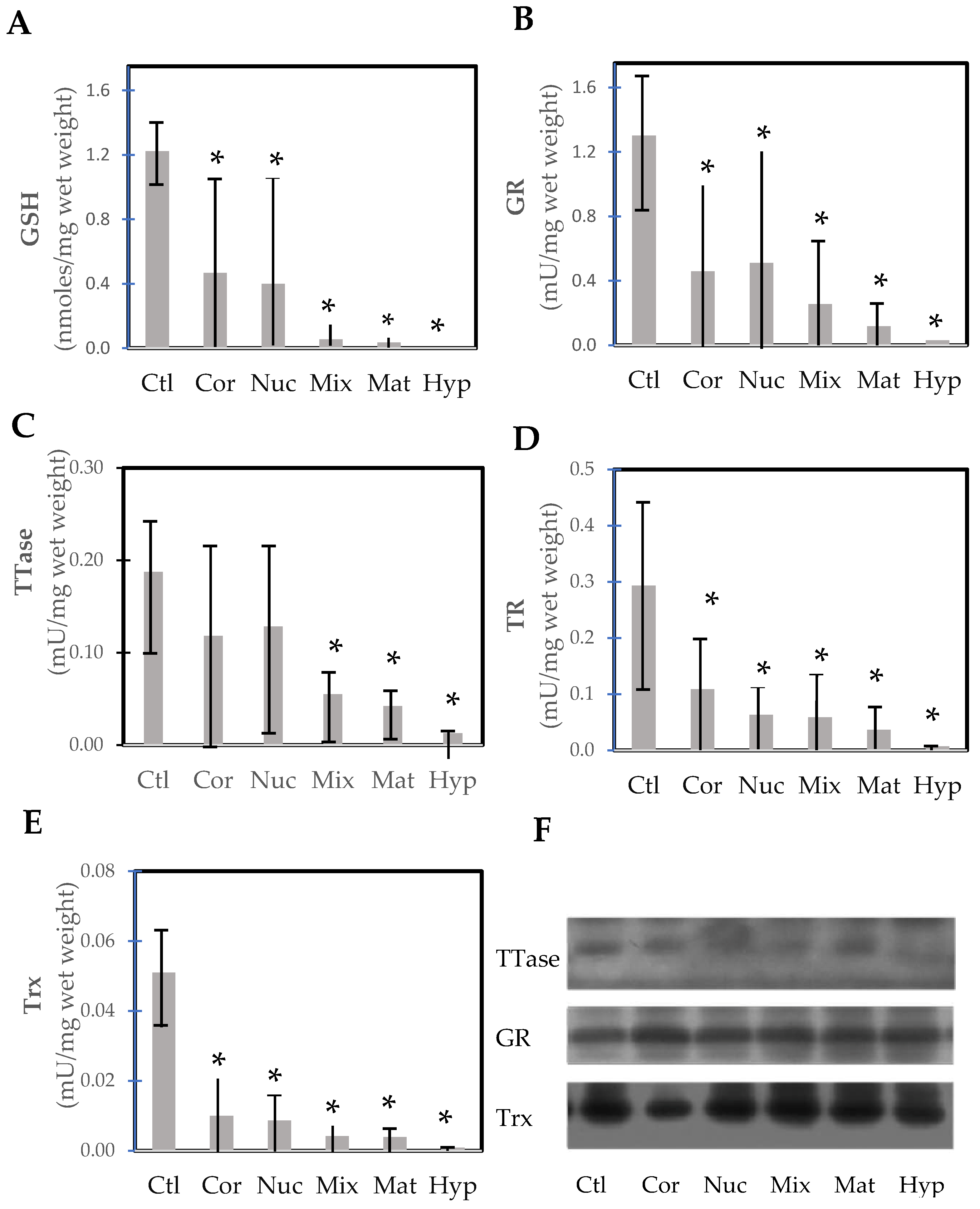 Antioxidants 14 00425 g010