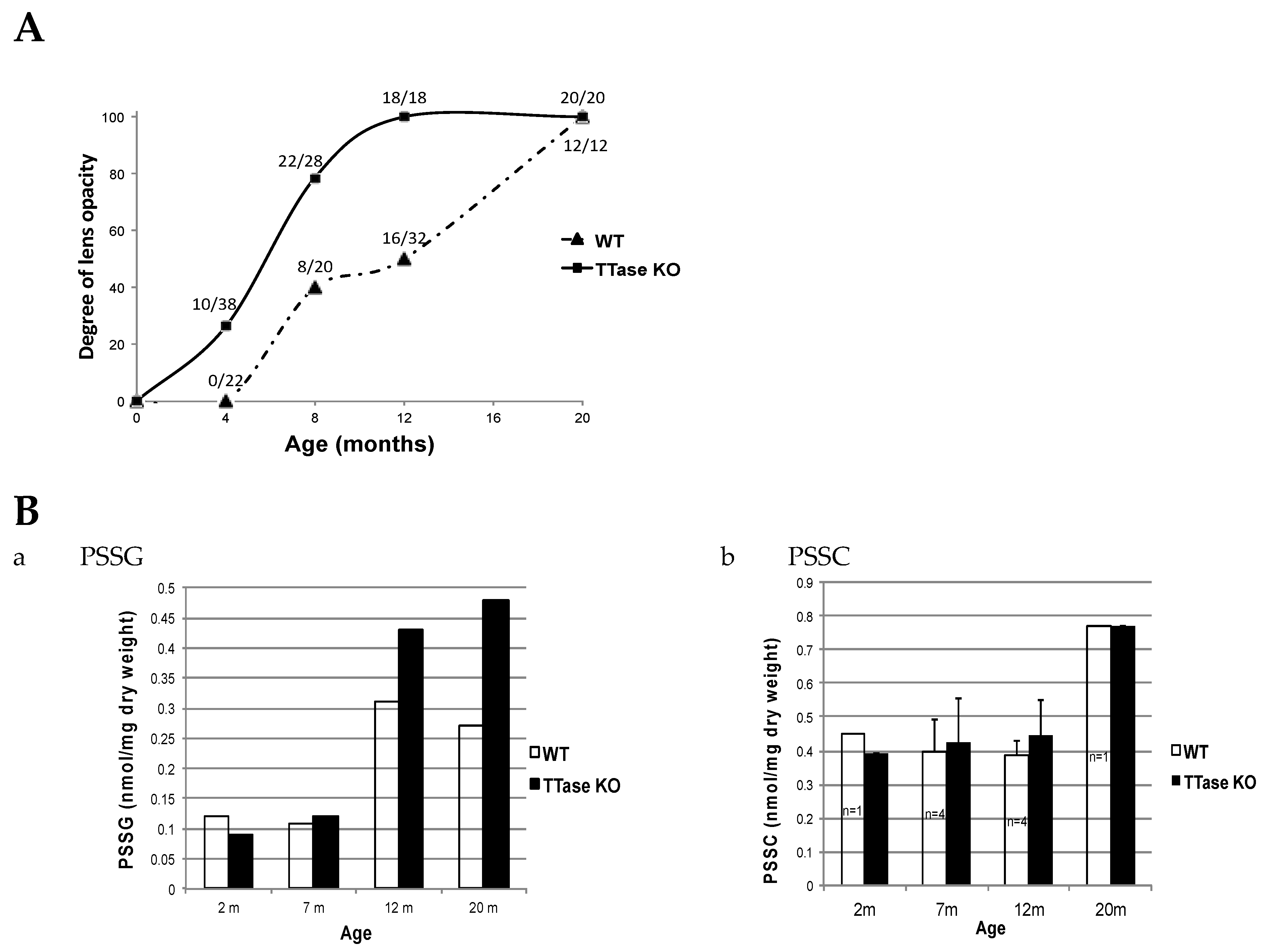 Antioxidants 14 00425 g012