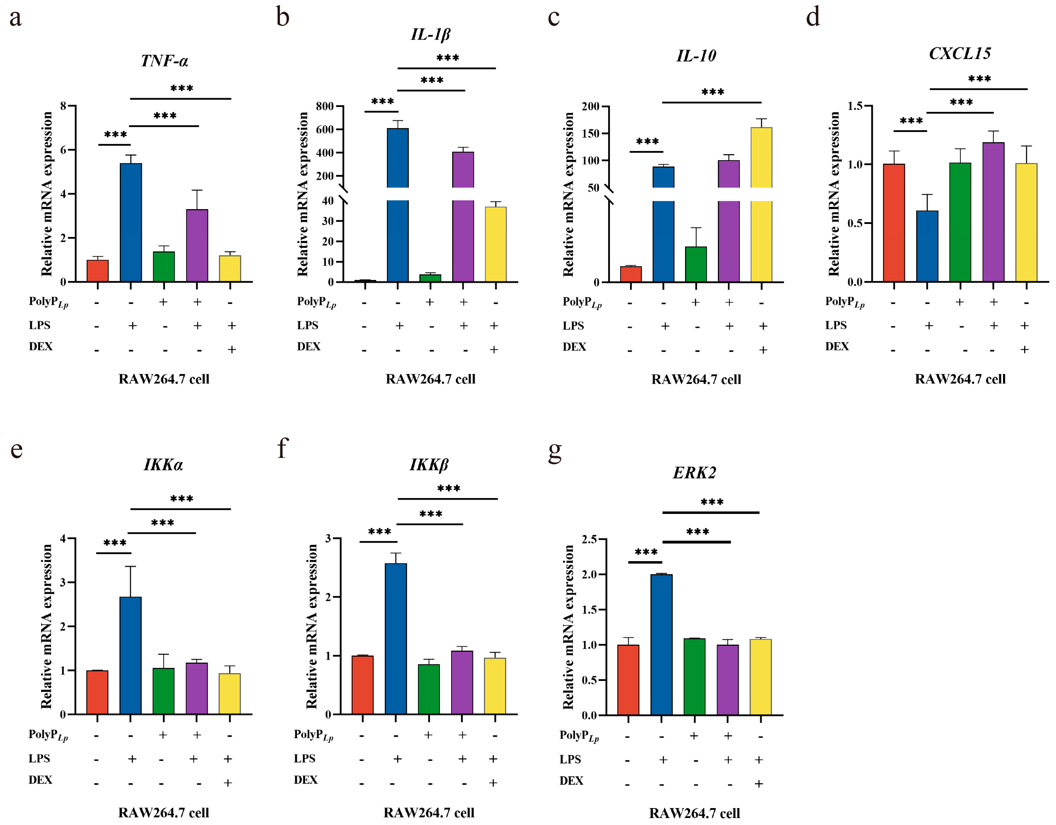 Antioxidants 14 00428 g006