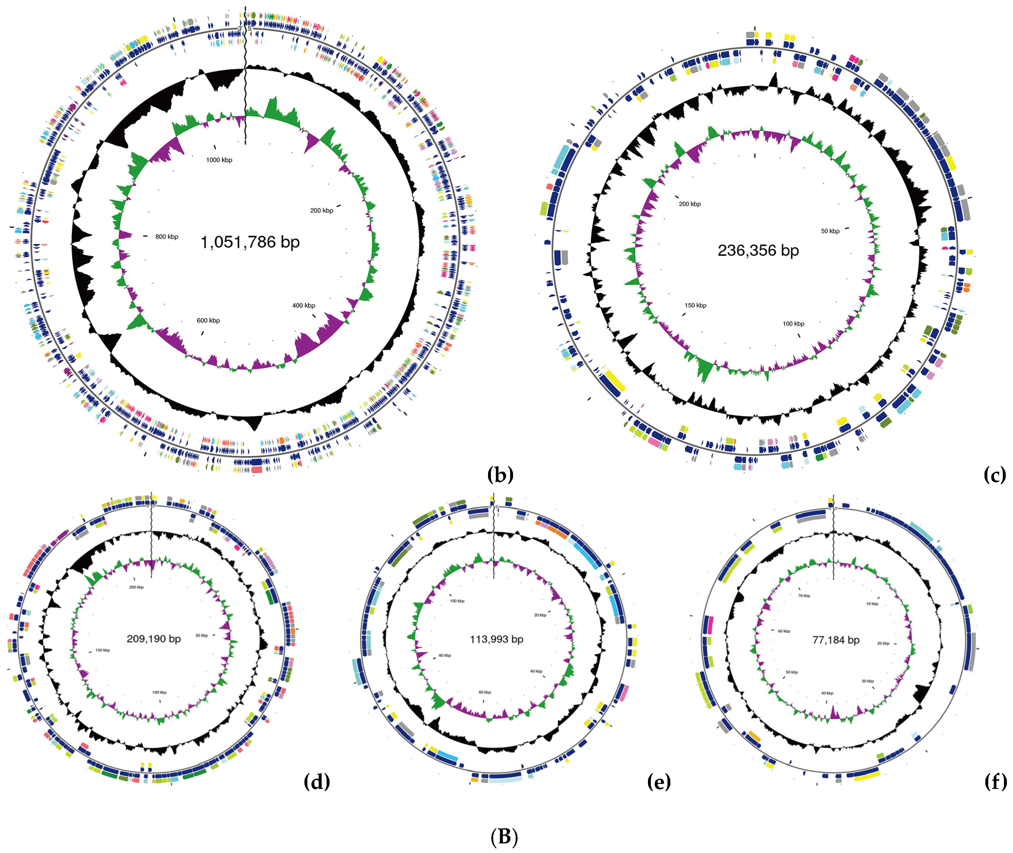 Antioxidants 14 00429 g001b
