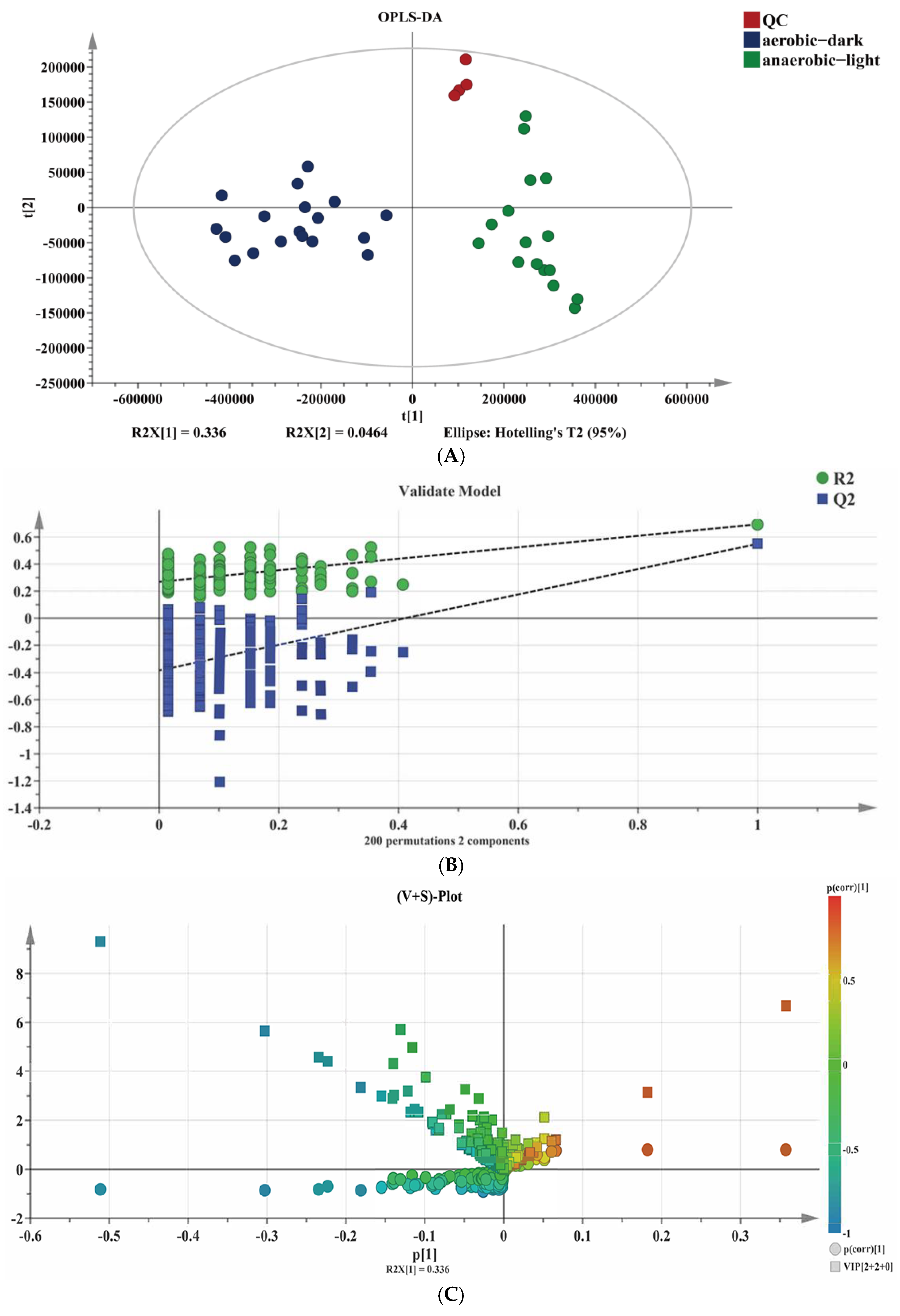 Antioxidants 14 00429 g005